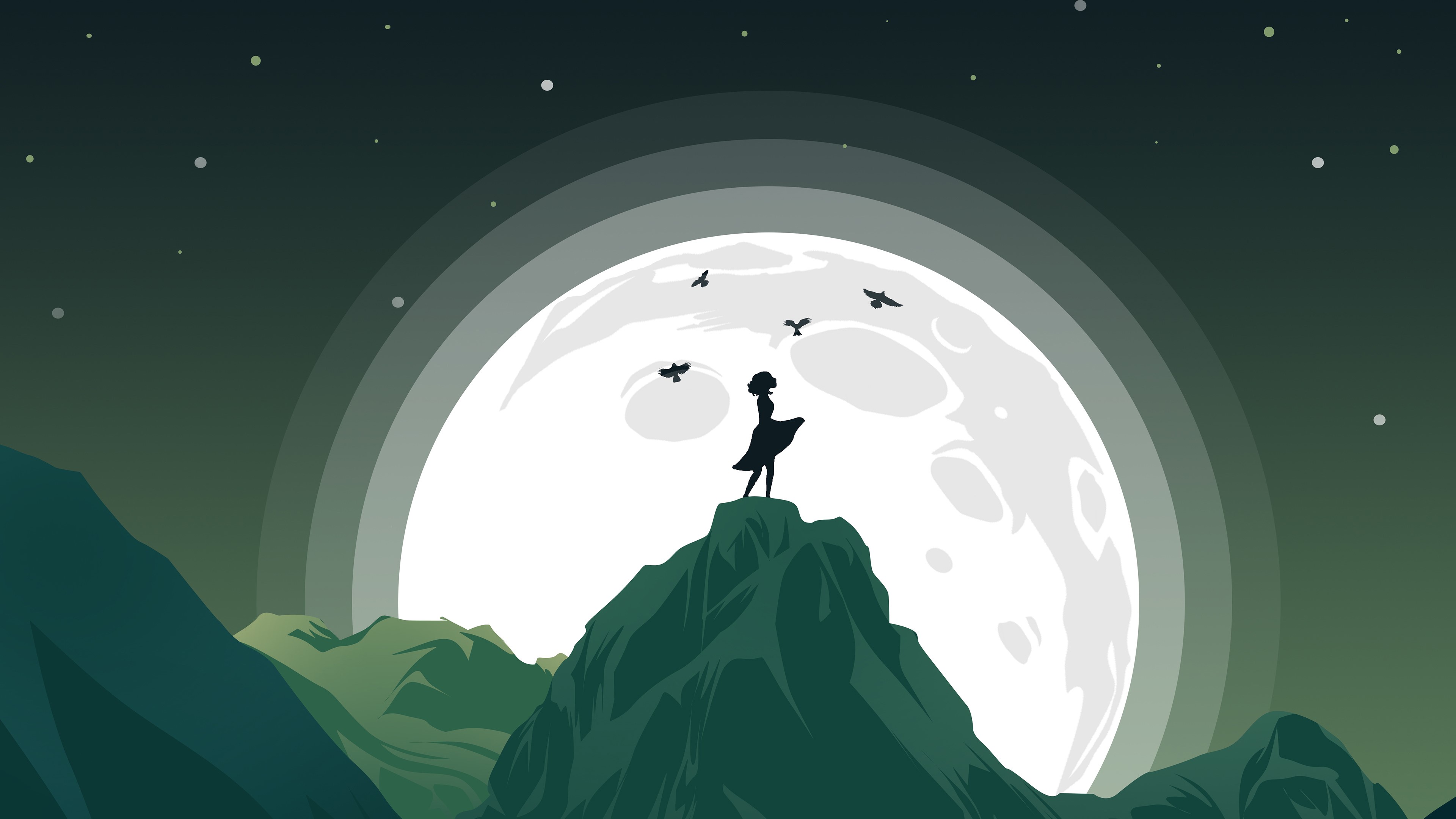 minimalist, minimalism, artist, artwork, digital art, hd, moon, birds, behance, 4k, HD Wallpaper