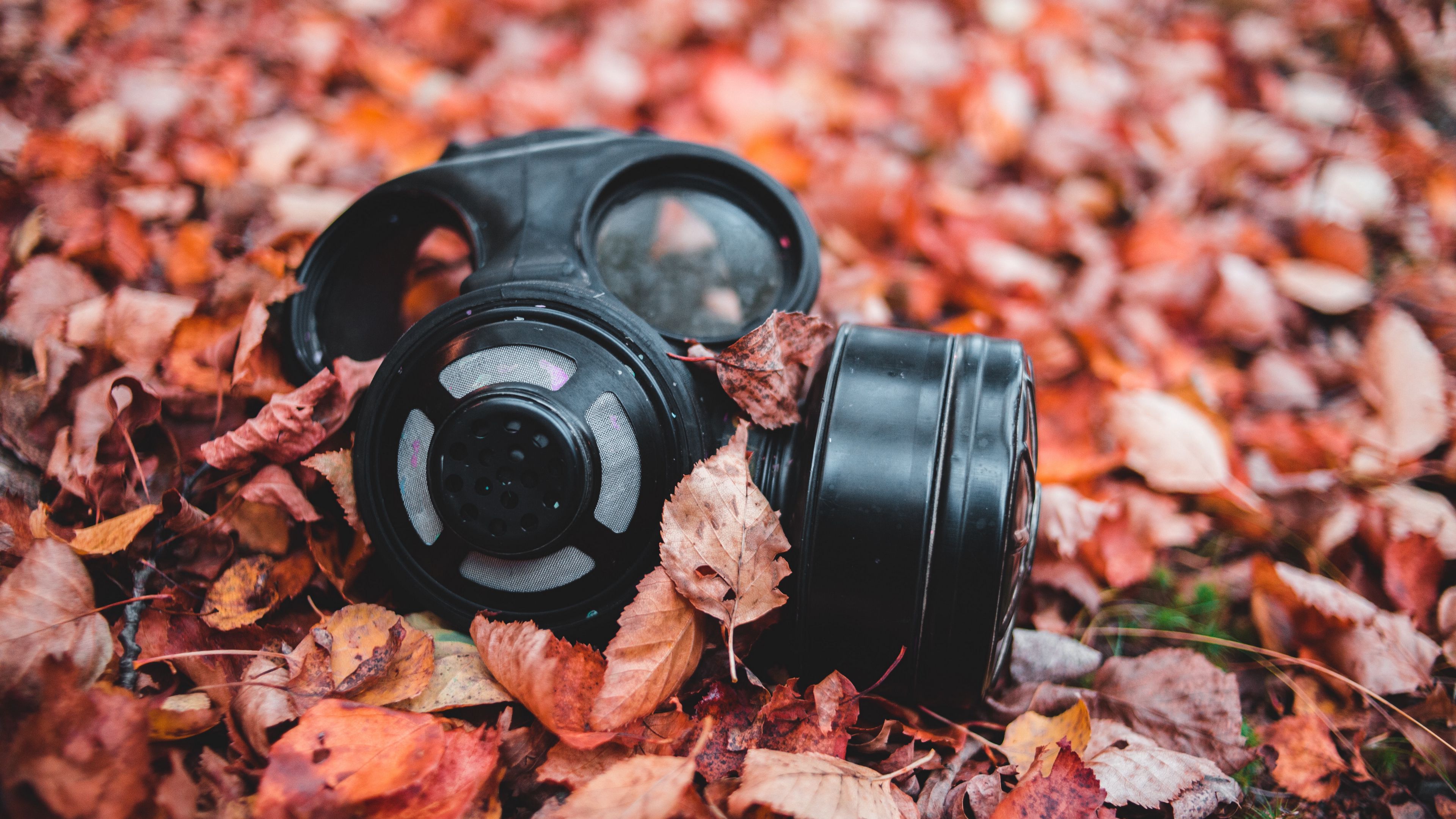 respirator, foliage, autumn, fallen, 4k, HD Wallpaper