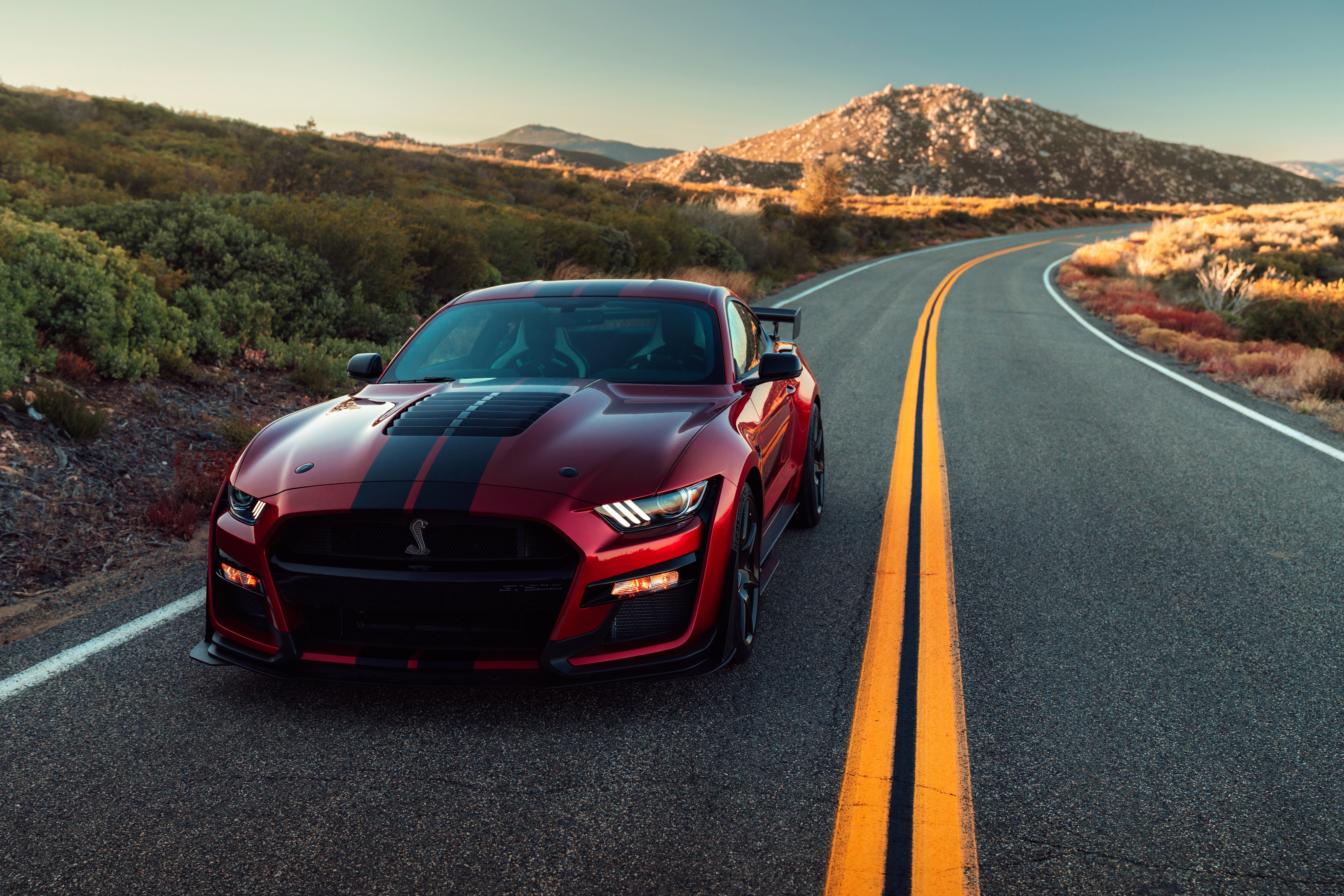 ford mustang, shelby, ford, 2019 cars, hd, 4k, cars, HD Wallpaper