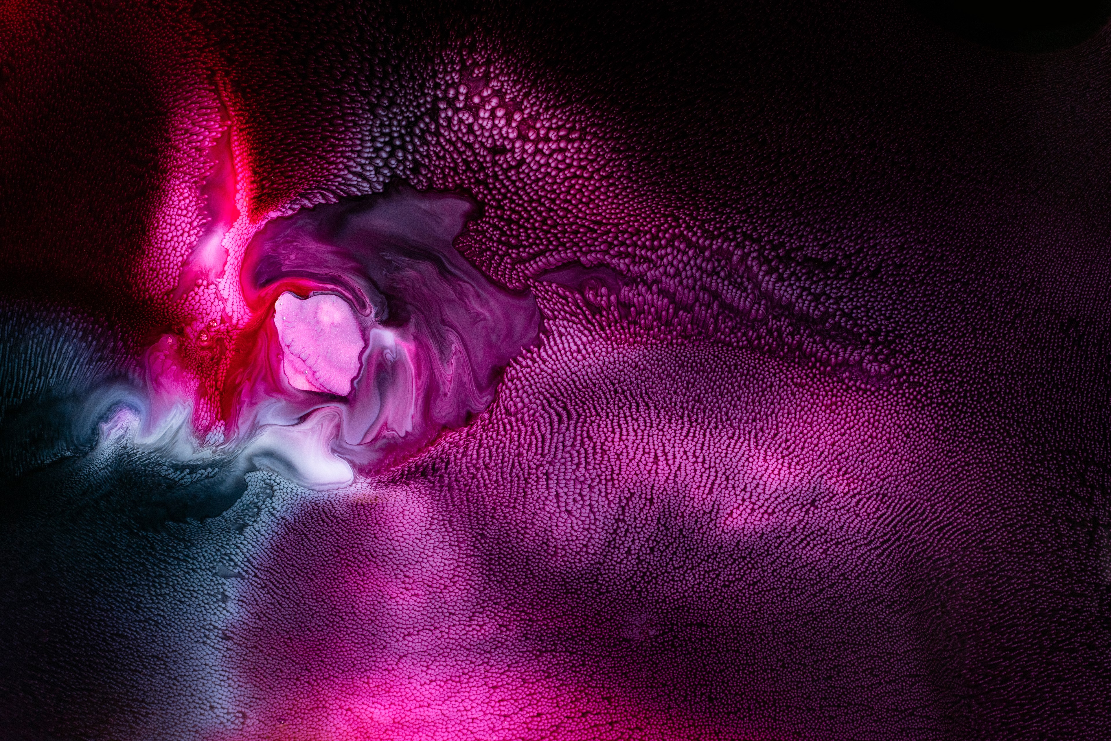 abstract, digital art, hd, 4k, behance, HD Wallpaper