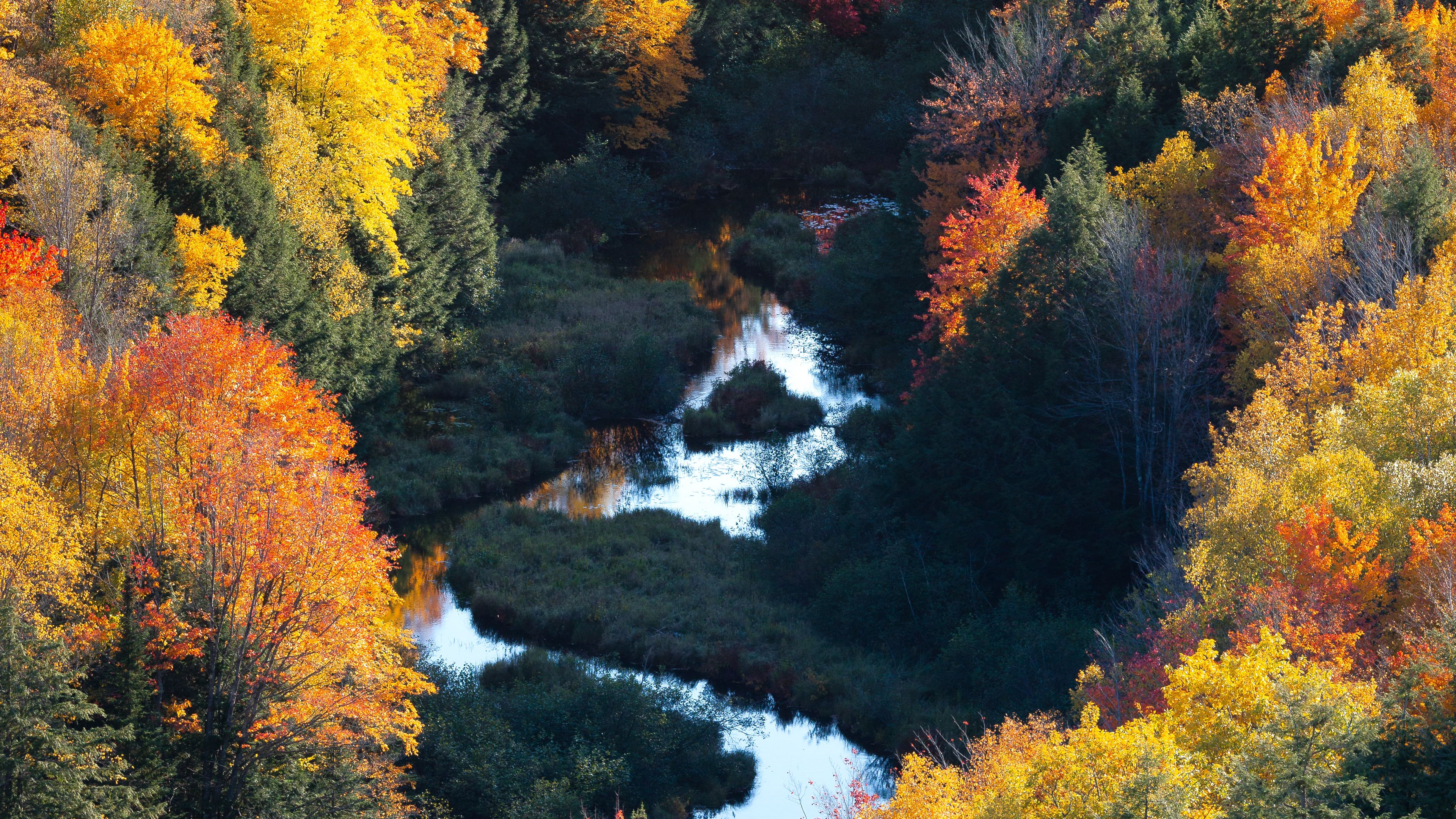 forest, river, aerial view, autumn, trees, colorful, 4k, HD Wallpaper