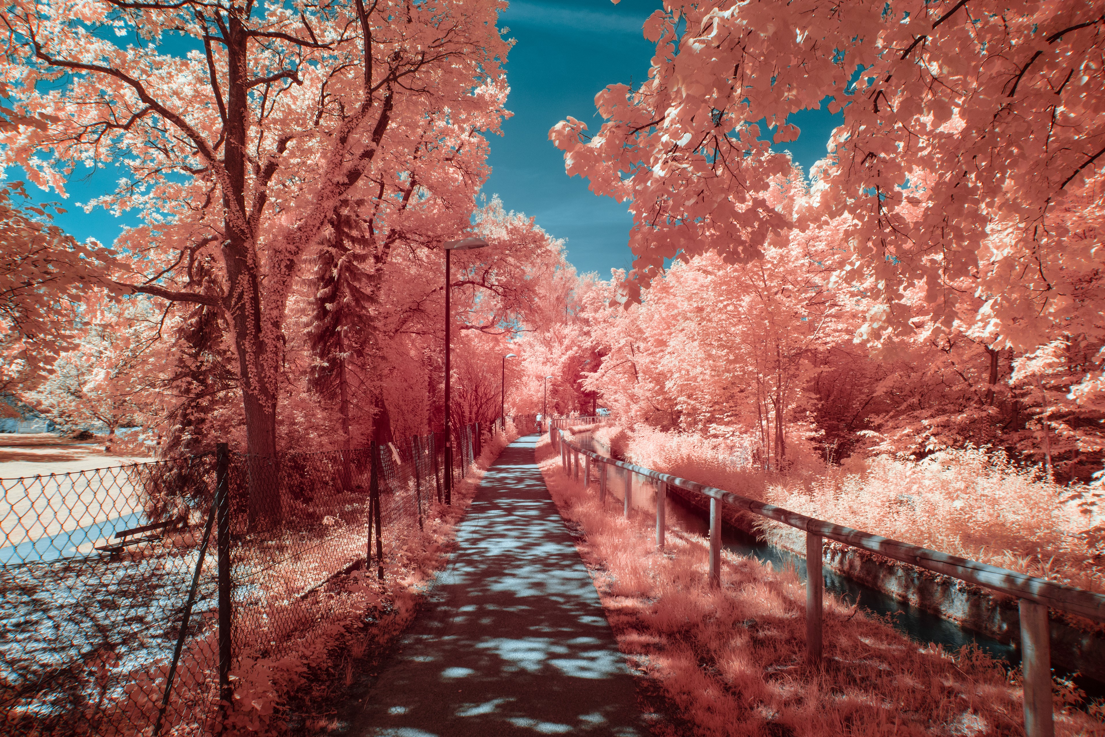 photography, hd, 4k, behance, autumn, HD Wallpaper