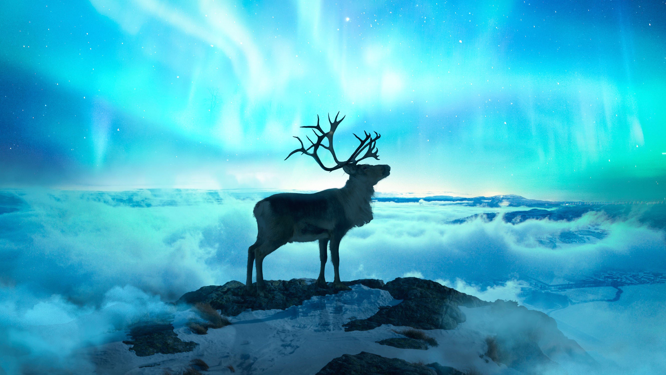 reindeer, artist, artwork, digital art, hd, fantasy, HD Wallpaper