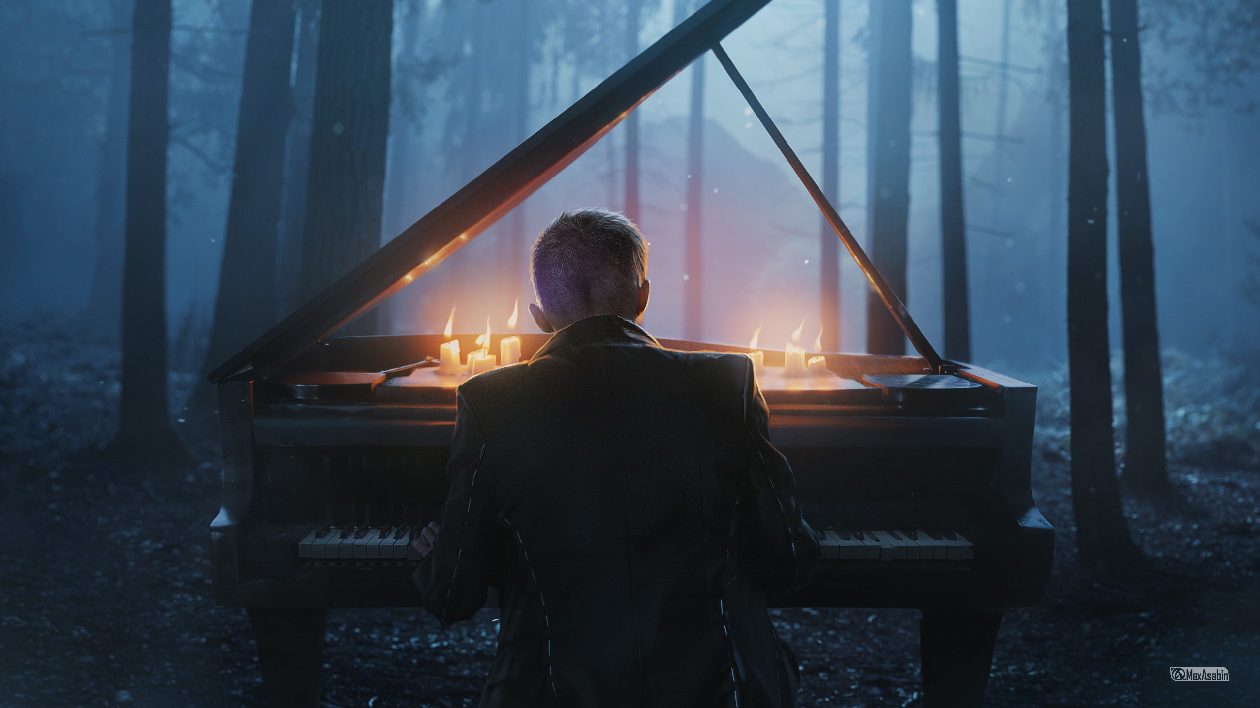 forest, music, nature, hd, deviantart, HD Wallpaper