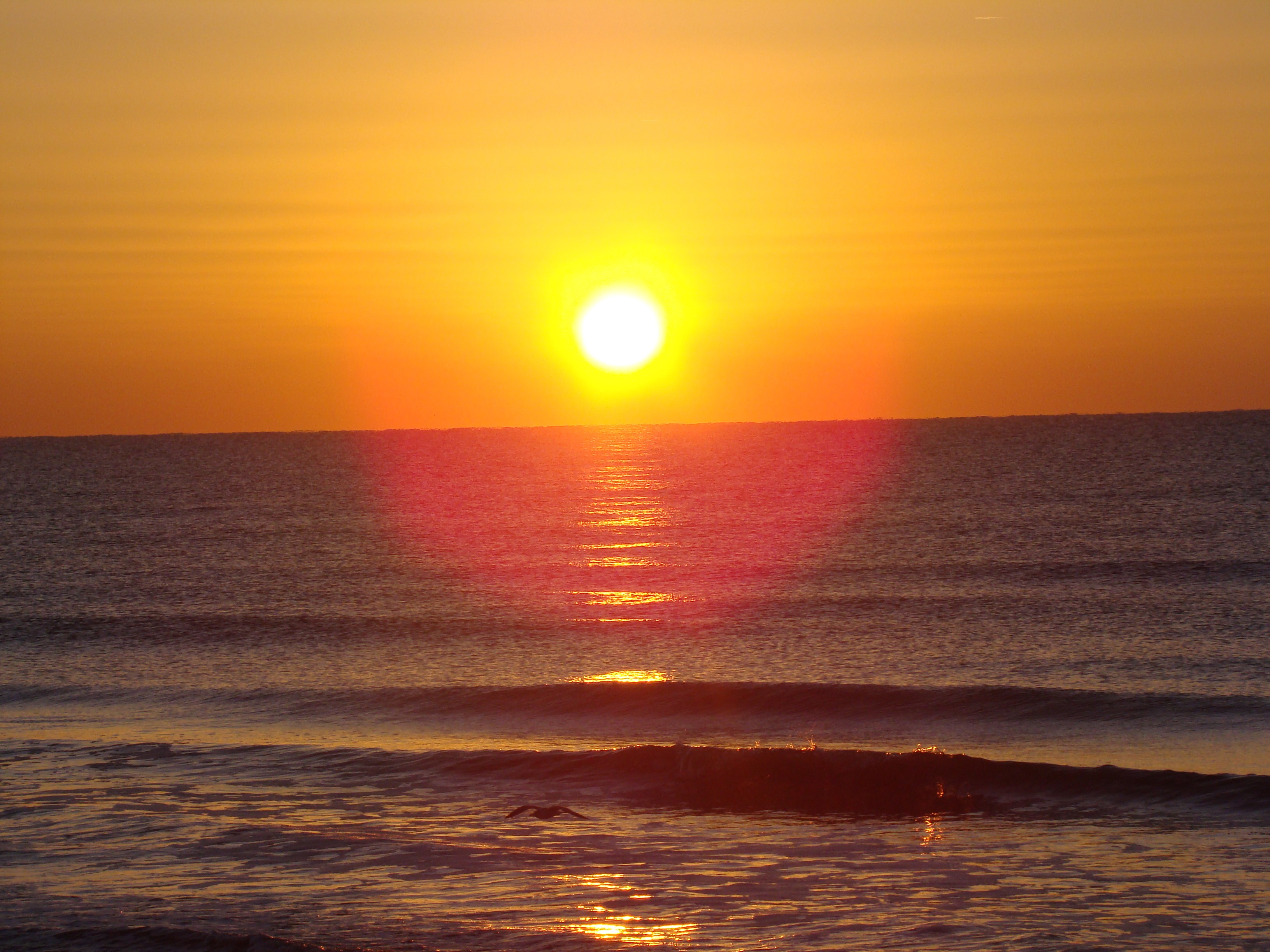 sunrise, beach, hd, nature, deviantart, 4k, HD Wallpaper