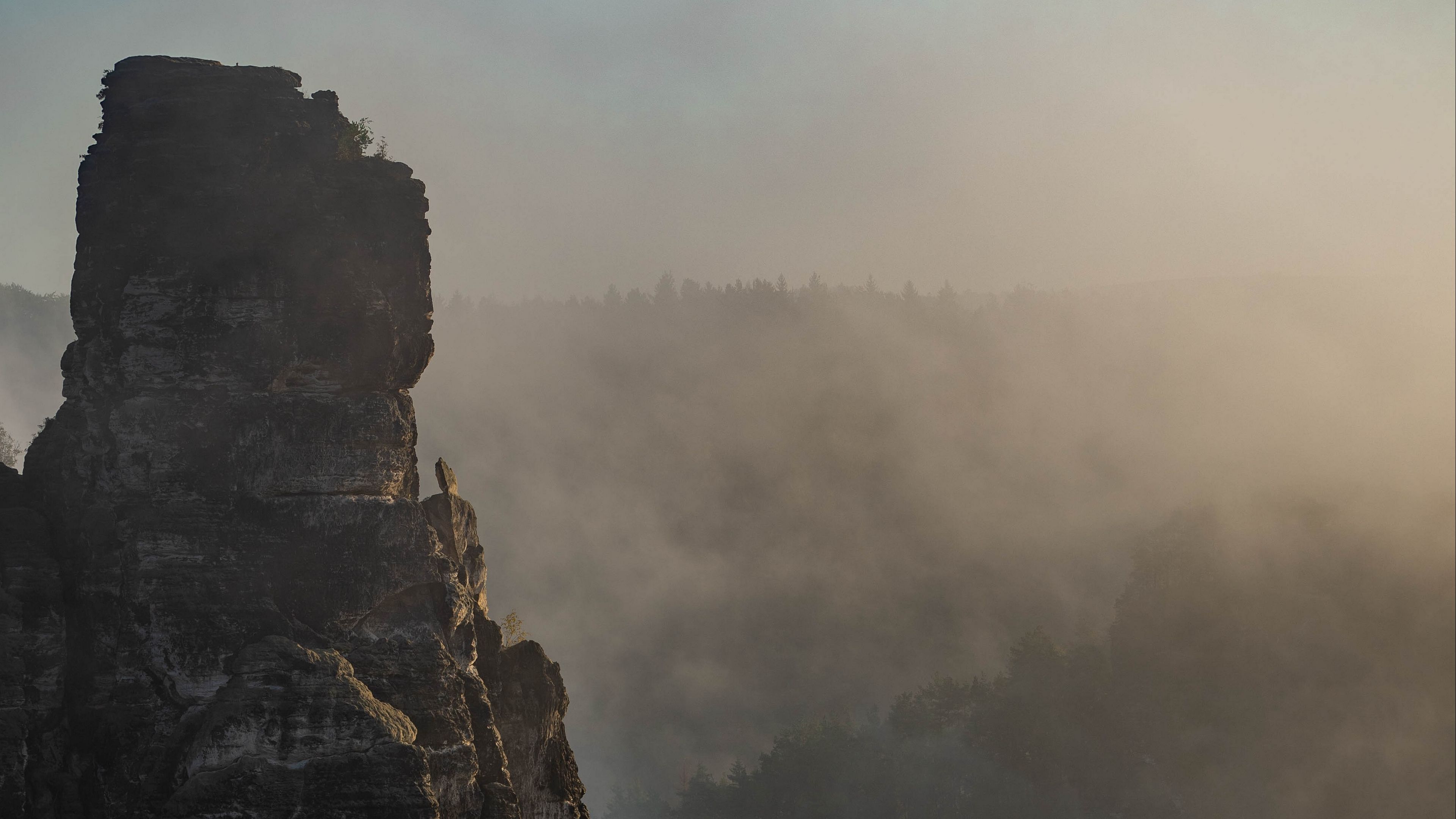 rock, peak, fog, trees, landscape, 4k, HD Wallpaper