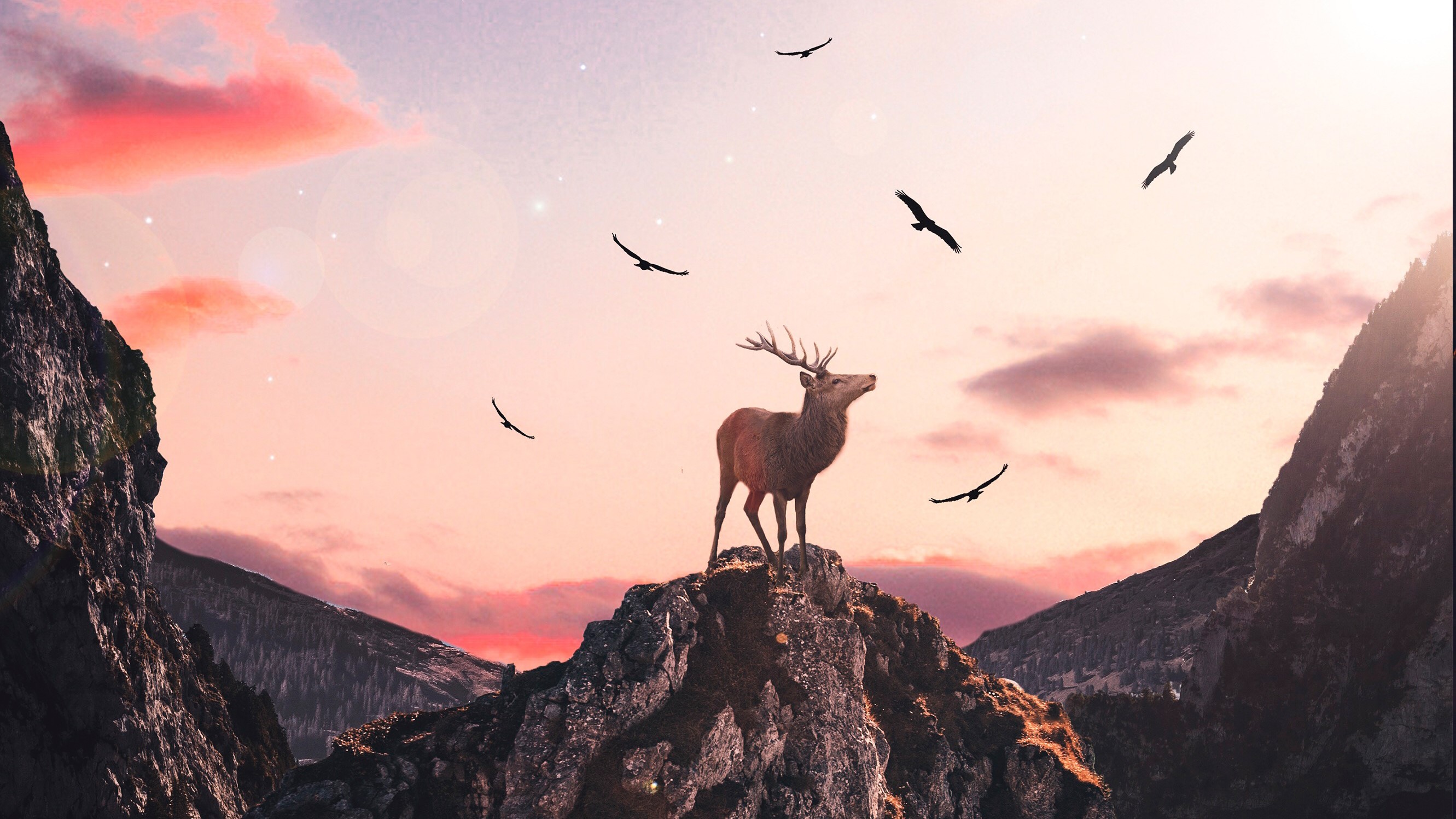 reindeer, photography, fantasy, artist, artwork, digital art, hd, HD Wallpaper