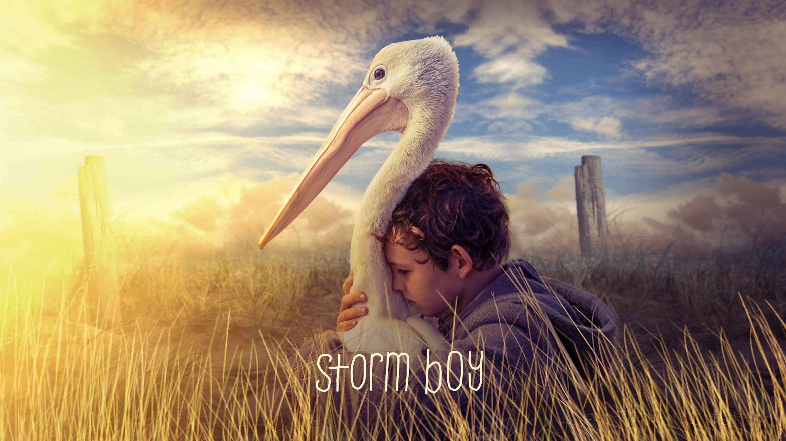 storm boy, 2019 movies, movies, hd, HD Wallpaper
