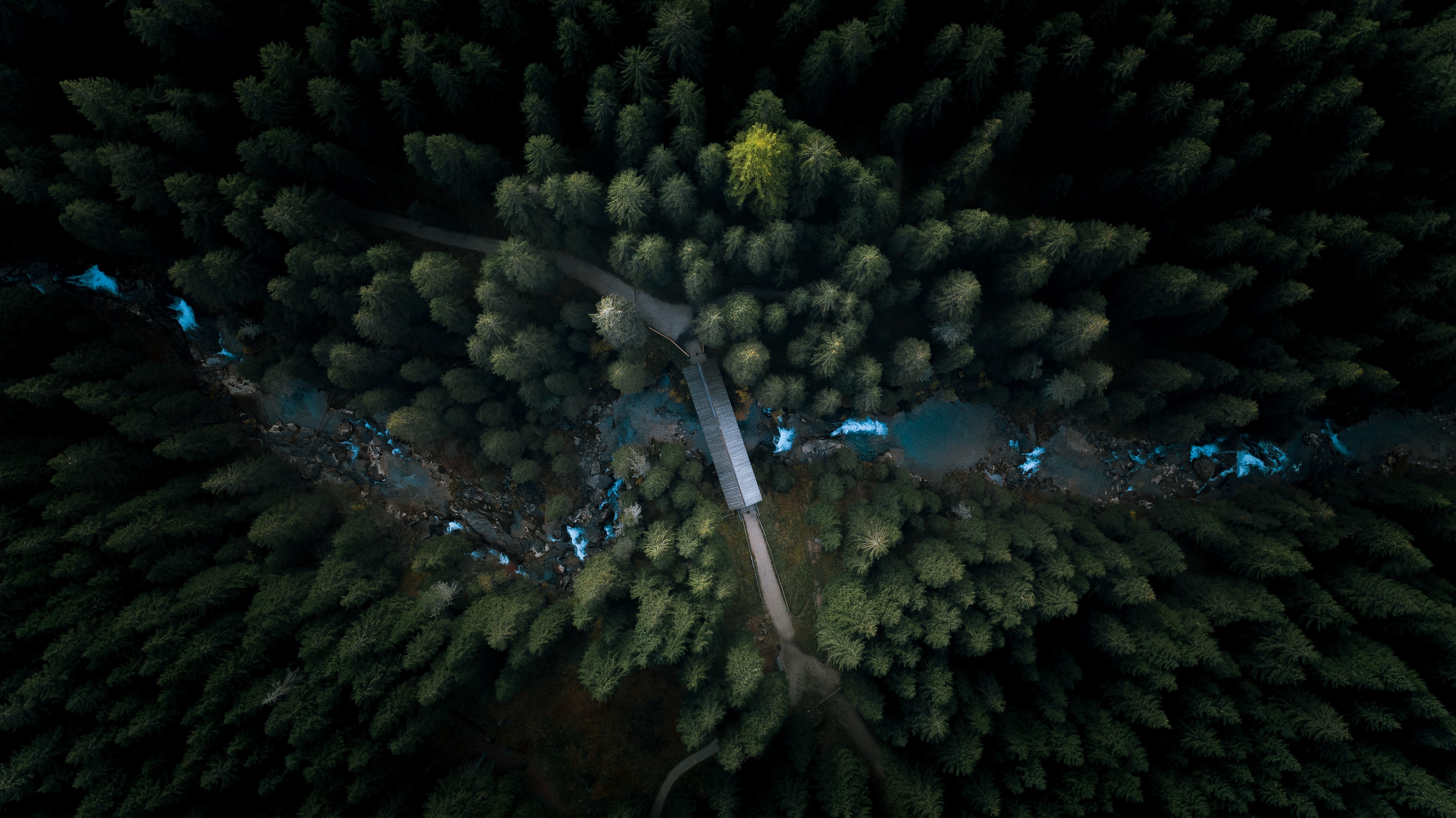 aerial, forest, nature, photography, hd, 4k, behance, HD Wallpaper