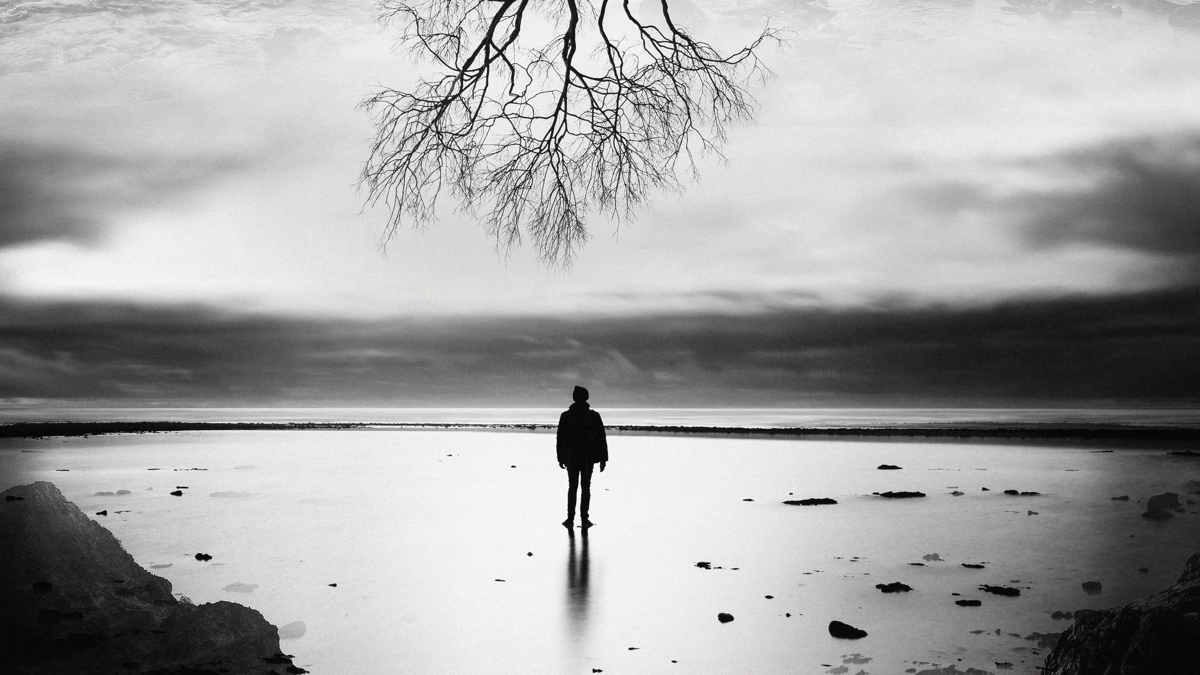 photography, tree, person, hd, monochrome, black and white, 4k, HD Wallpaper