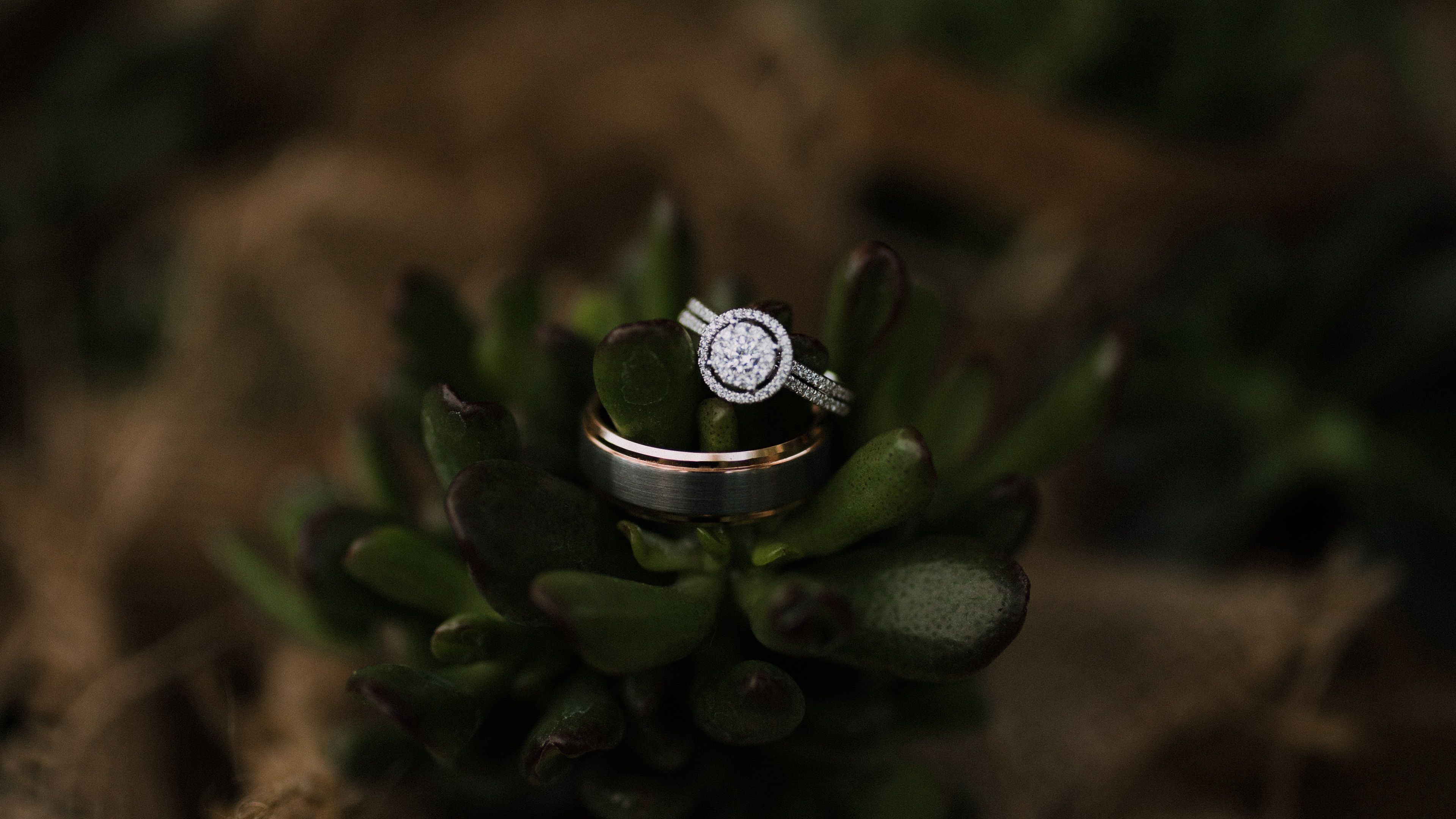 ring, diamonds, jewel, love, romance, 4k, HD Wallpaper