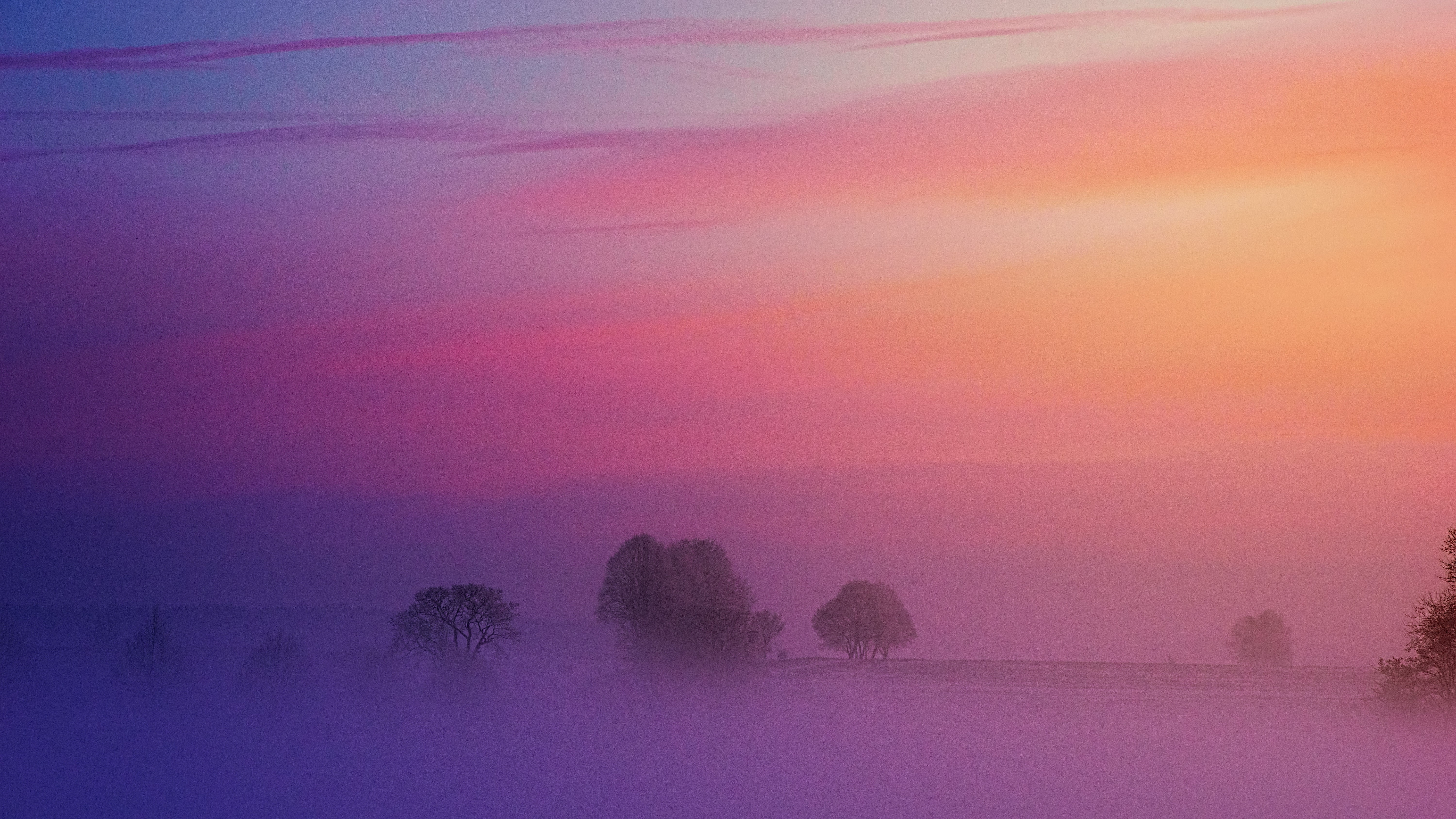 morning, nature, hd, 4k, 5k, HD Wallpaper