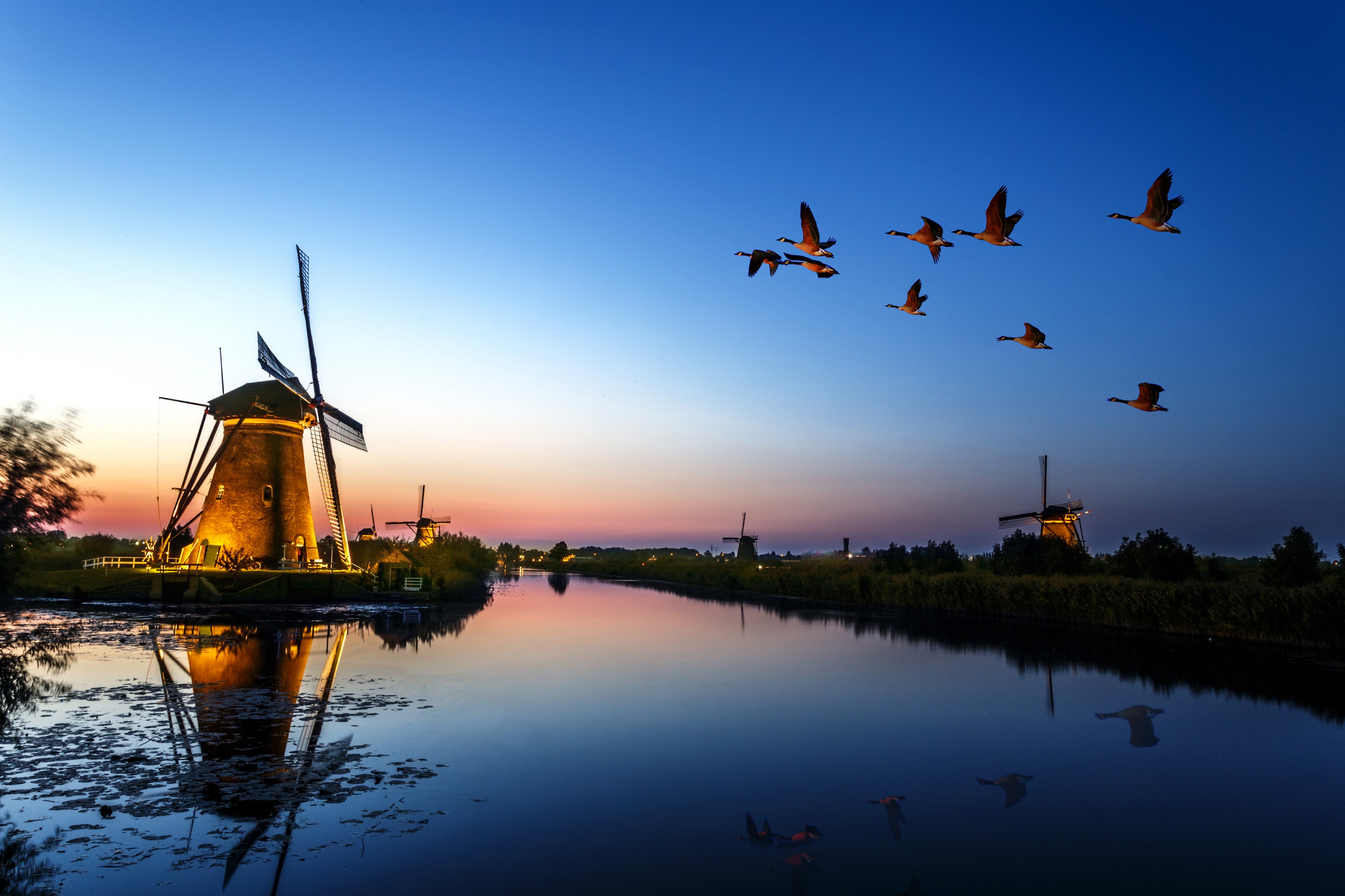 windmill, birds, flying, evening, lake, hd, nature, 4k, HD Wallpaper