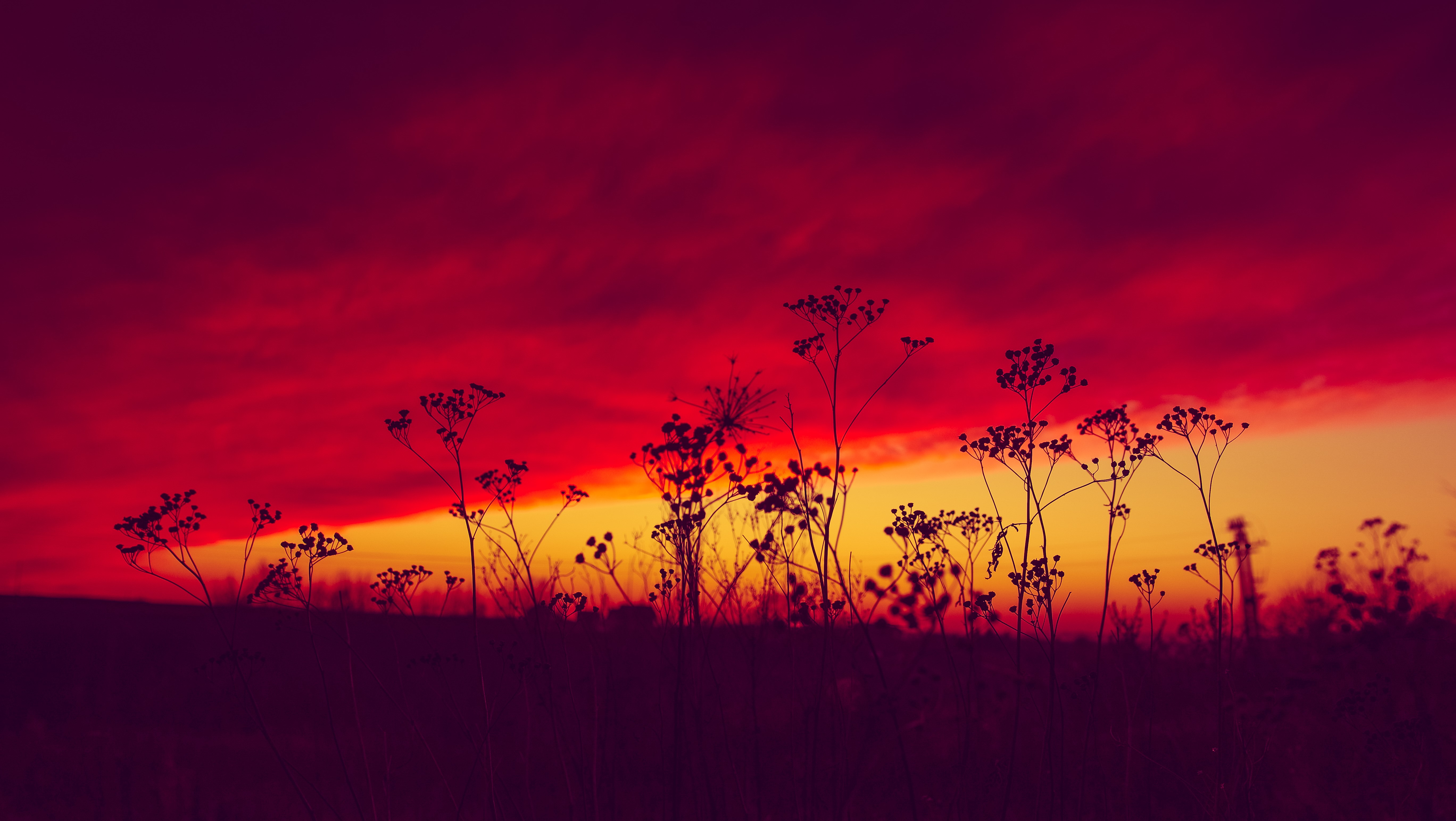 poland, sunset, evening, nature, hd, 4k, 5k, HD Wallpaper