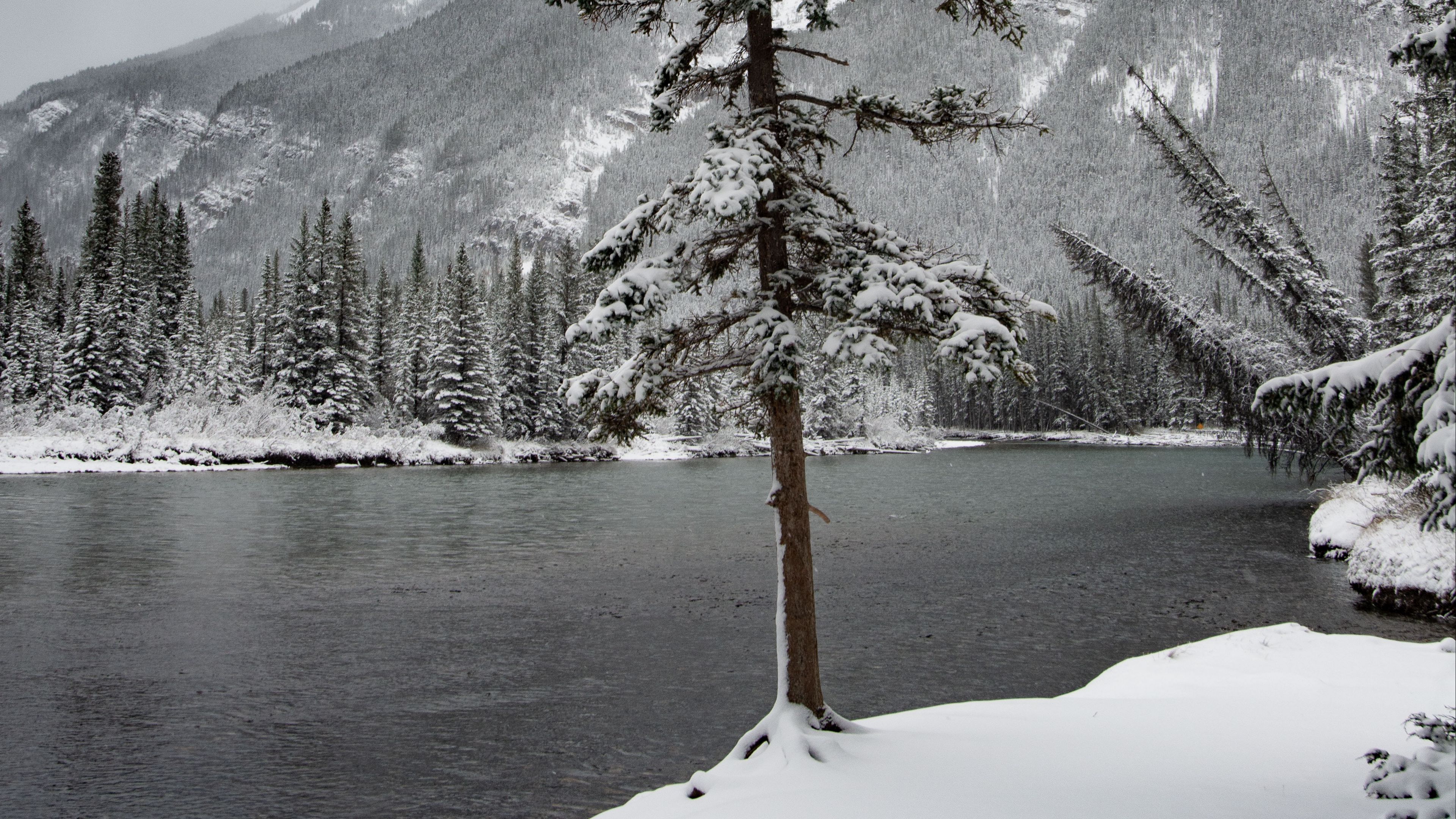river, snow, trees, mountain, landscape, 4k, HD Wallpaper