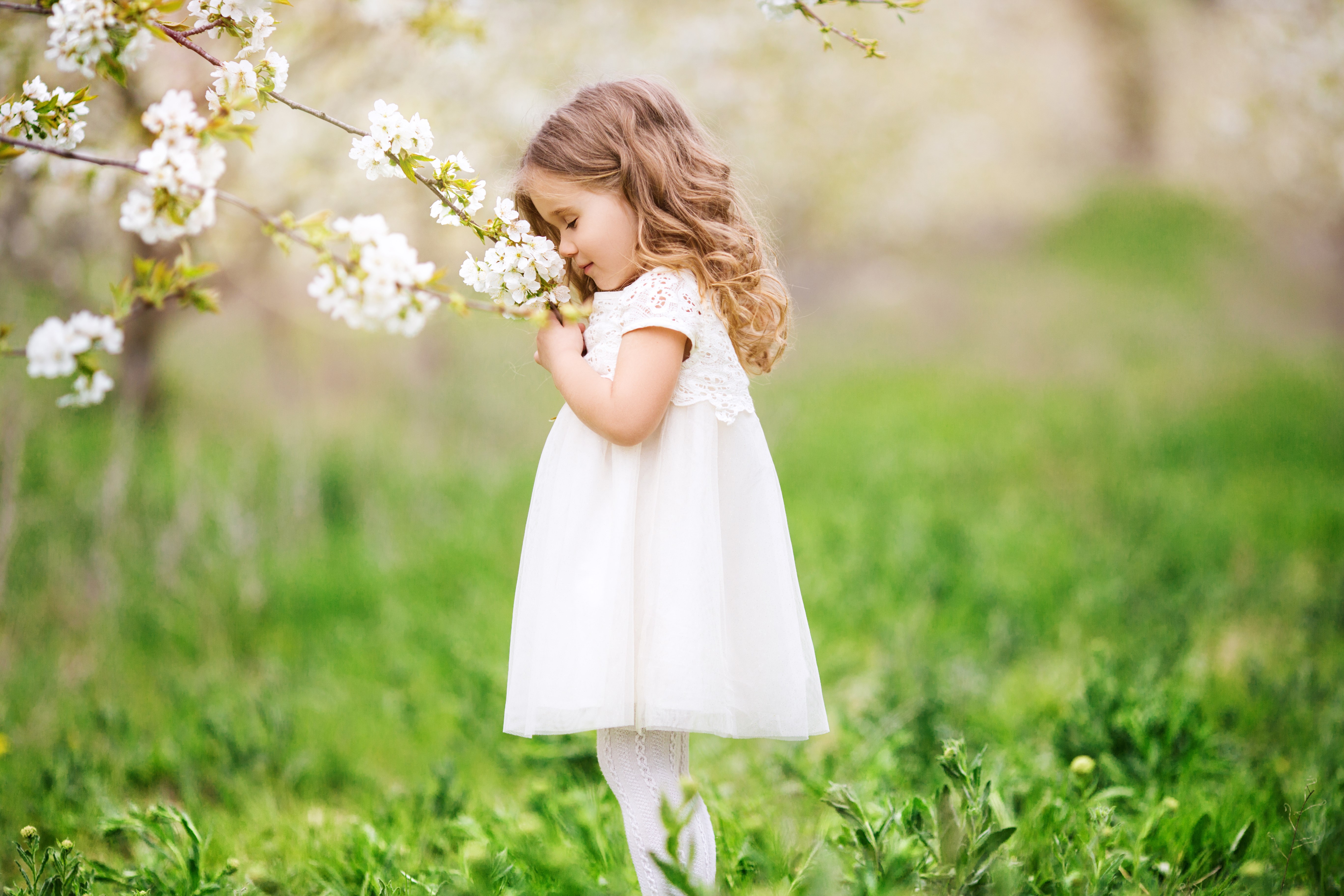 little girl, cute, children, flowers, hd, 4k, 5k, HD Wallpaper