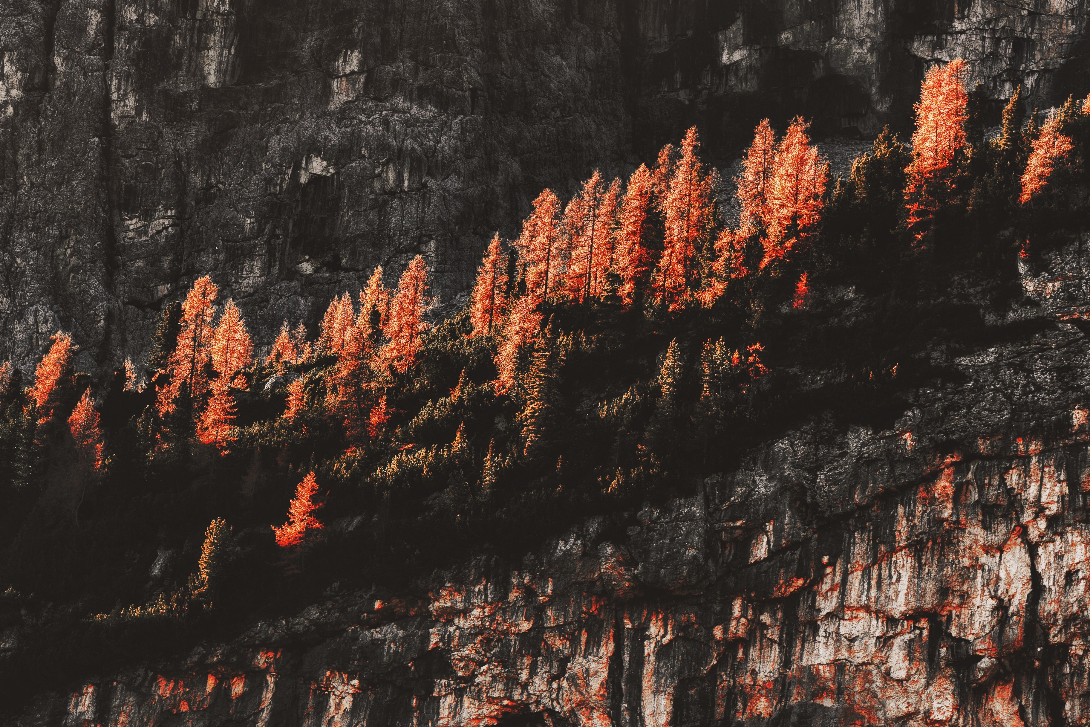 rocks, mountains, nature, trees, hd, 4k, HD Wallpaper