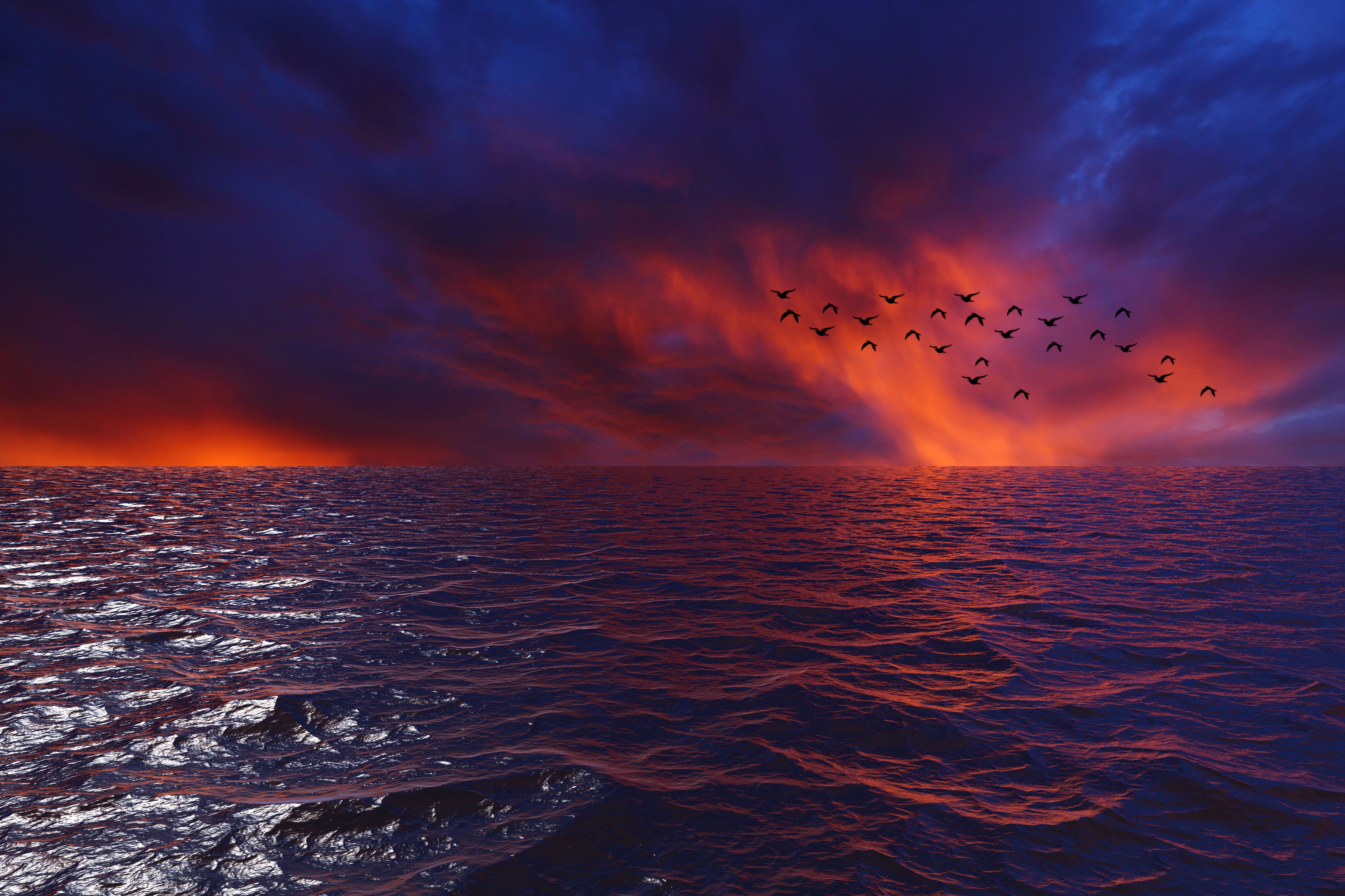 waves, sky, birds, hd, 4k, nature, HD Wallpaper