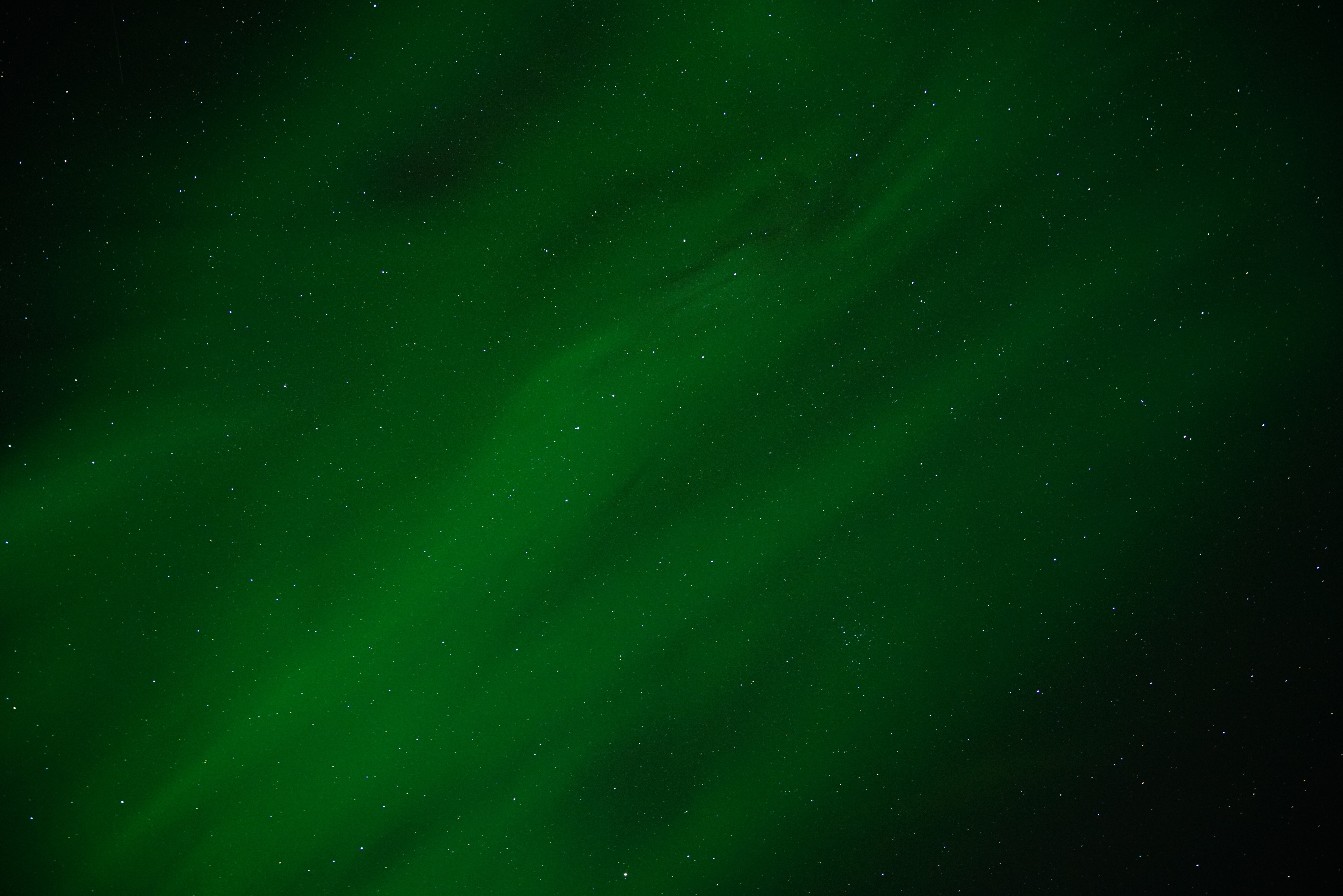 northern lights, nature, hd, aurora, 4k, 5k, 8k, green, HD Wallpaper