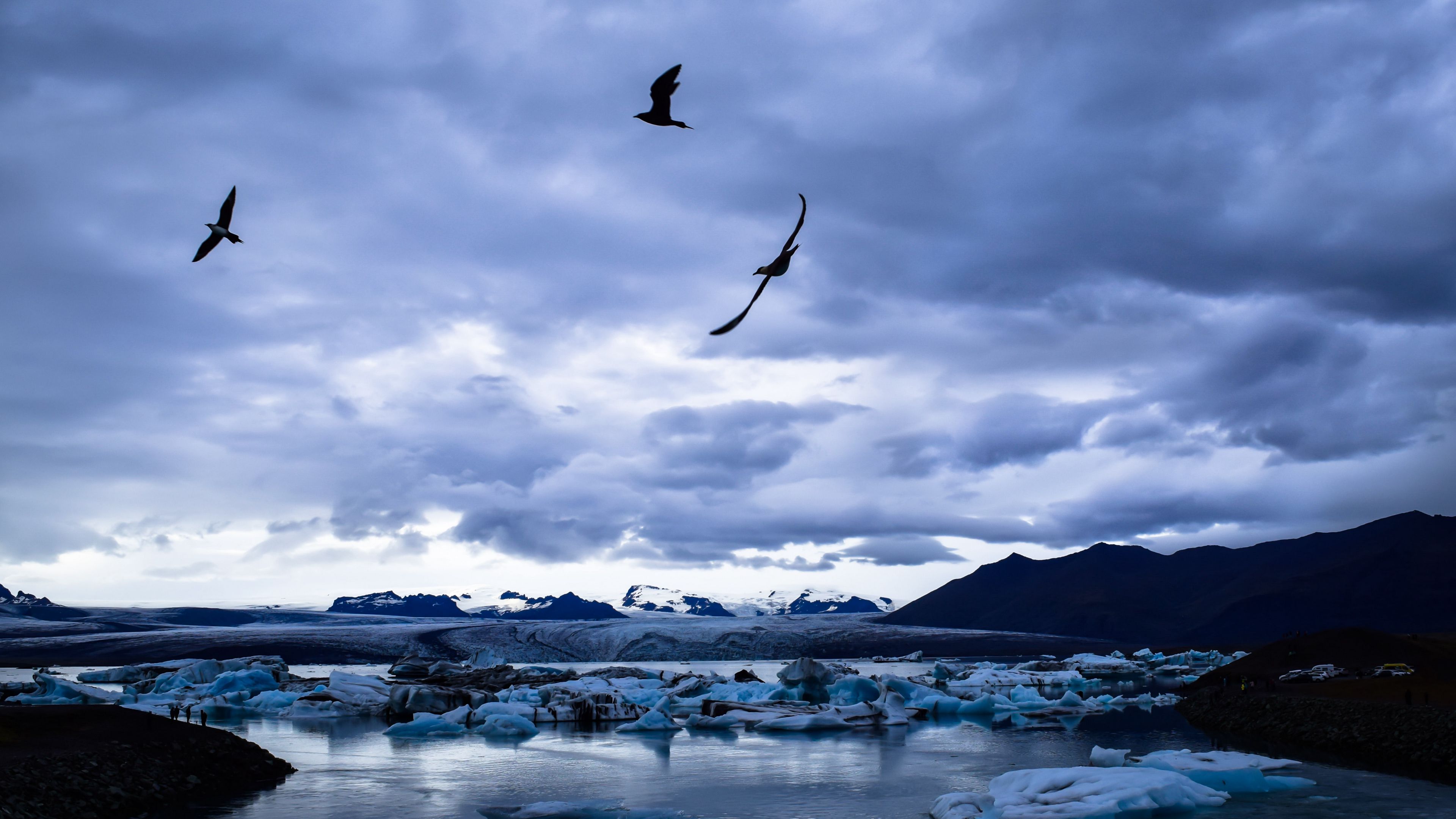 glacier, ice, lake, birds, landscape, 4k, HD Wallpaper