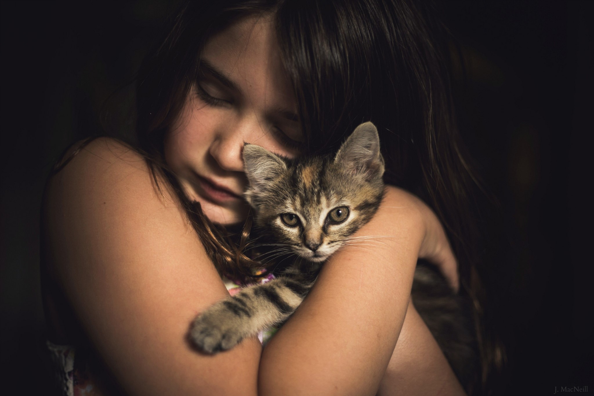 little girl, cute, kitten, cat, animals, hd, HD Wallpaper