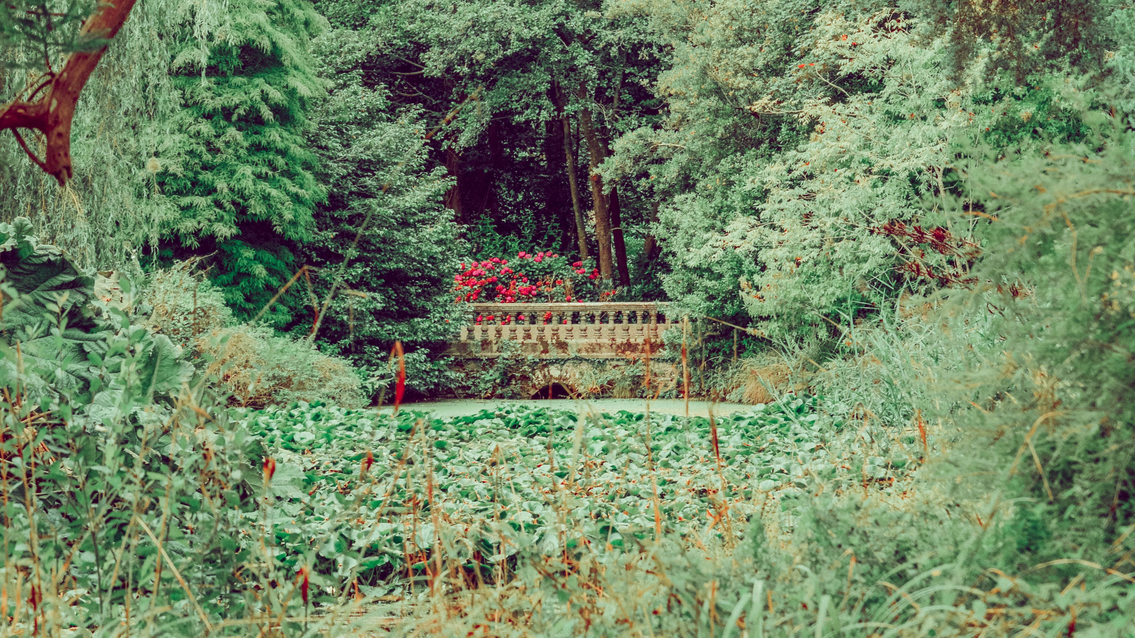 bridge, trees, bushes, grass, greens, nature, 4k, HD Wallpaper