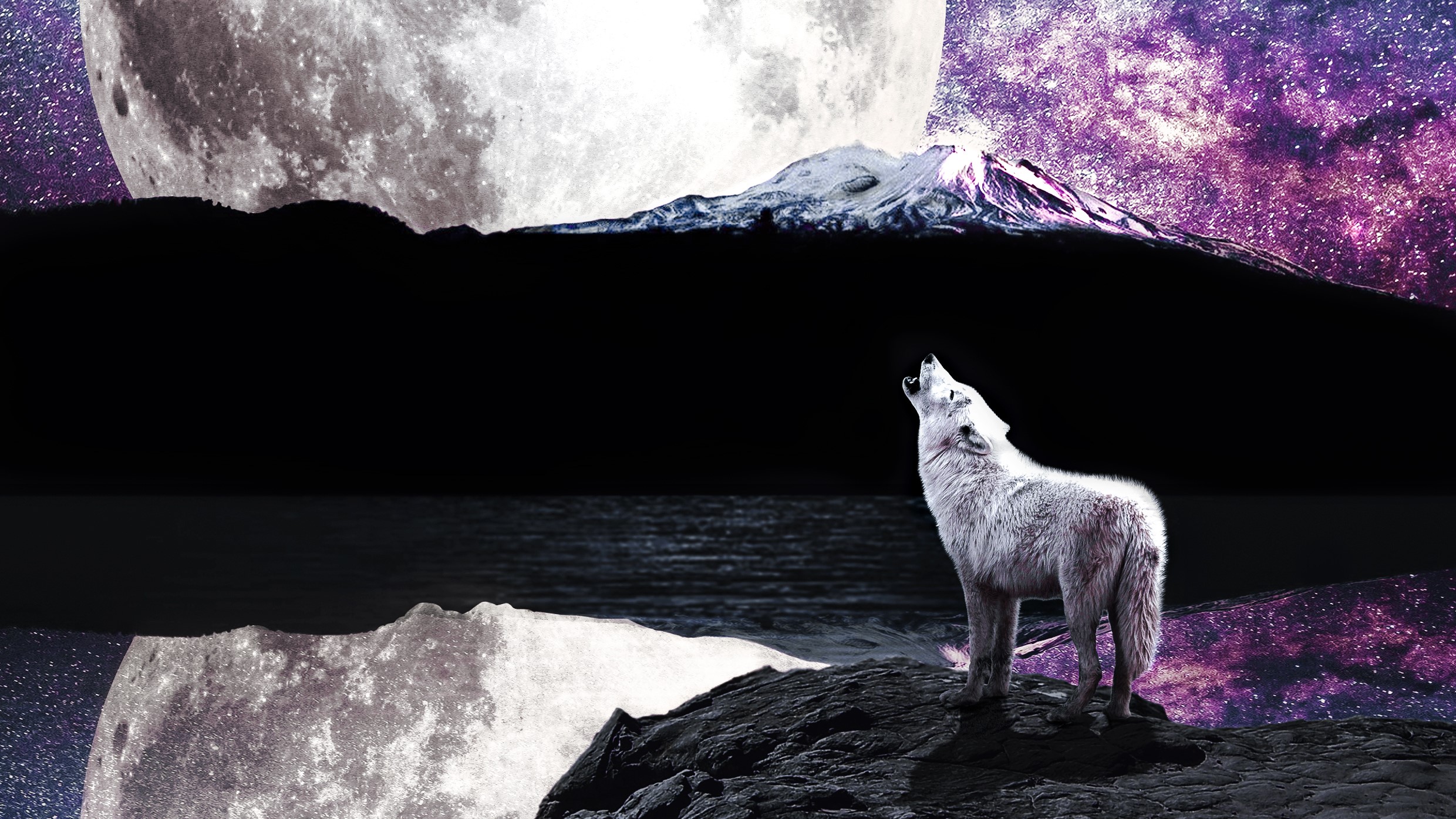 artist, artwork, hd, digital art, wolf, HD Wallpaper