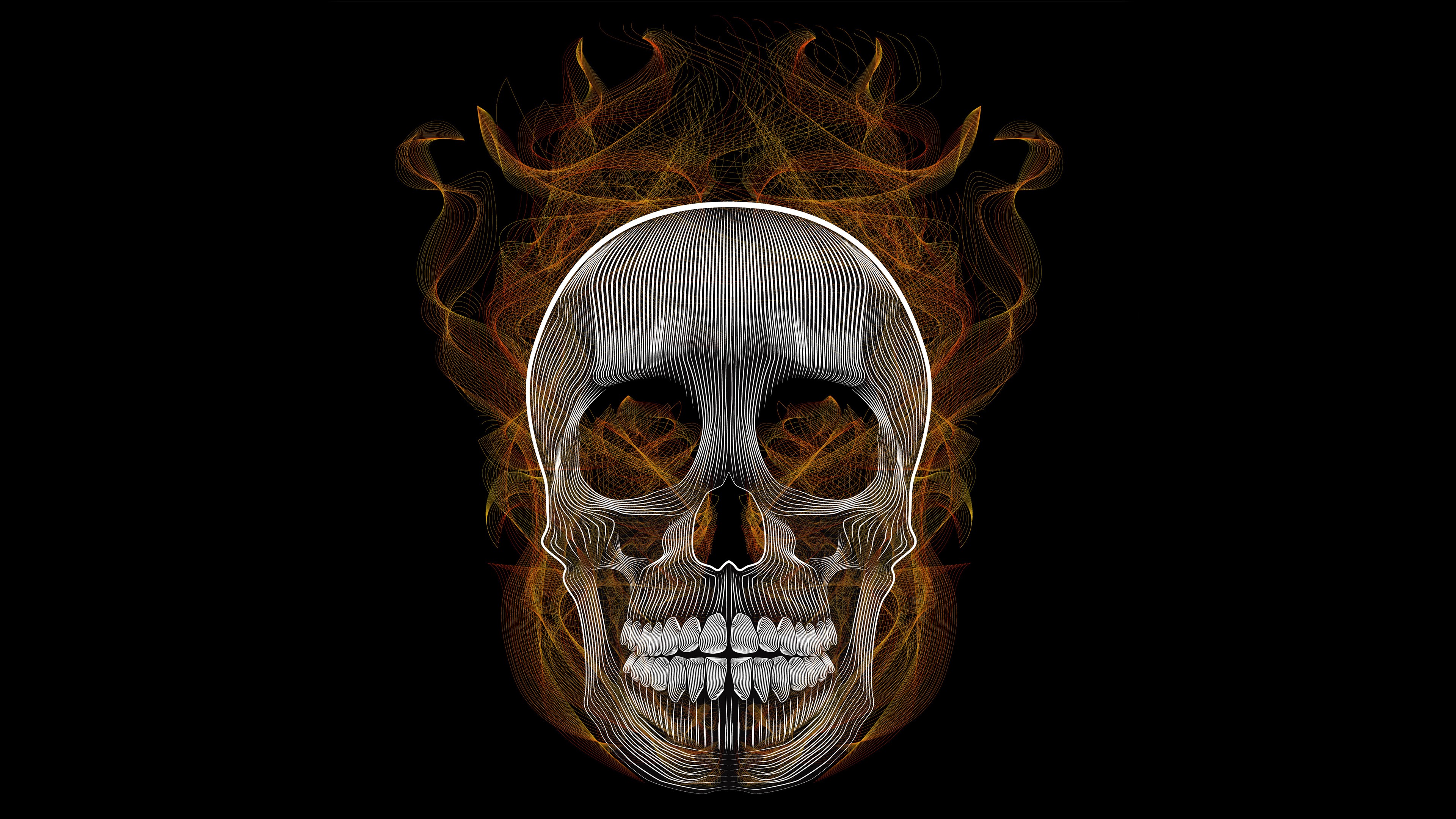 skull, hd, 4k, artwork, digital art, behance, illustration, HD Wallpaper