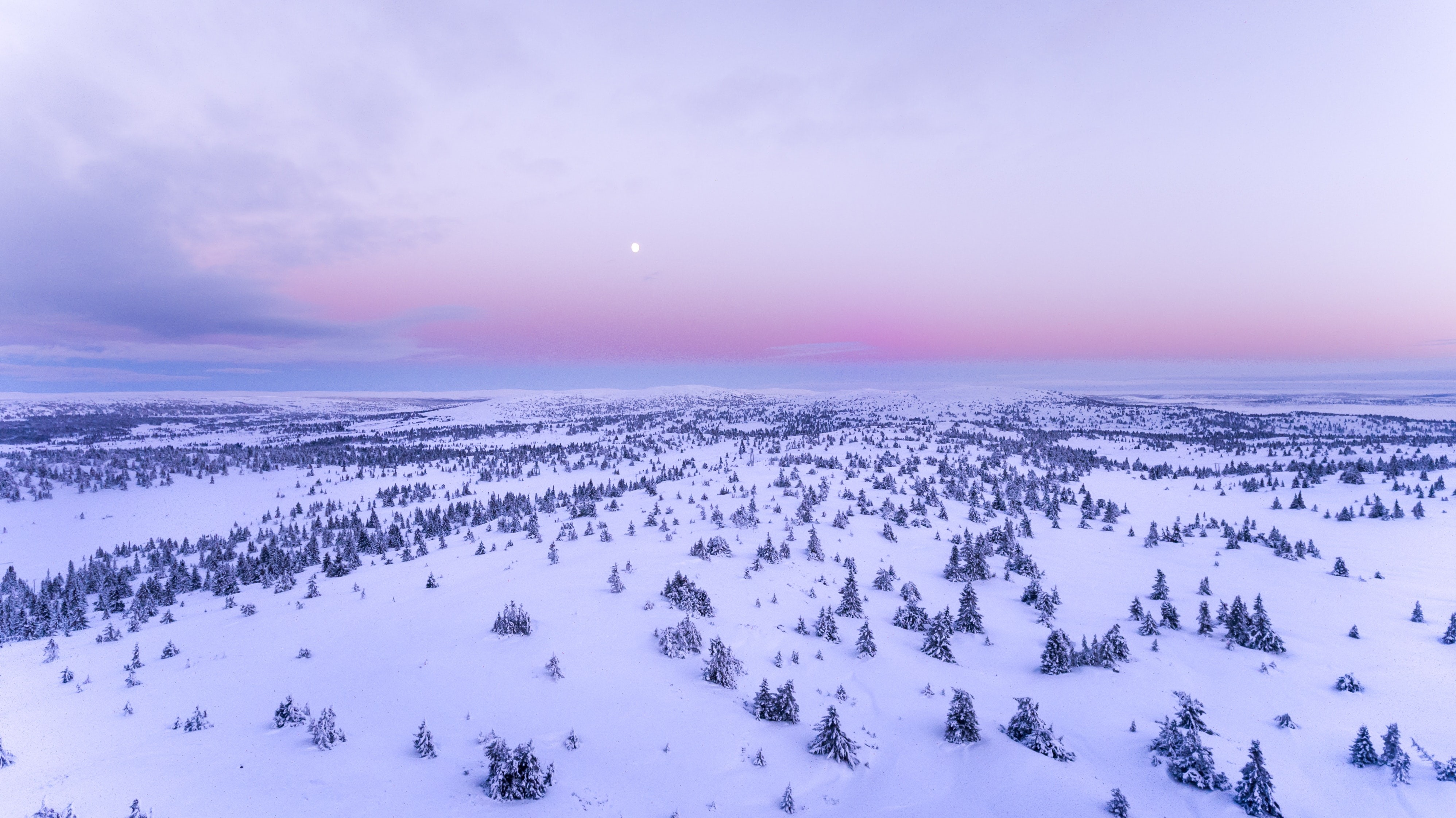 snow, field, nature, hd, 4k, aerial, HD Wallpaper
