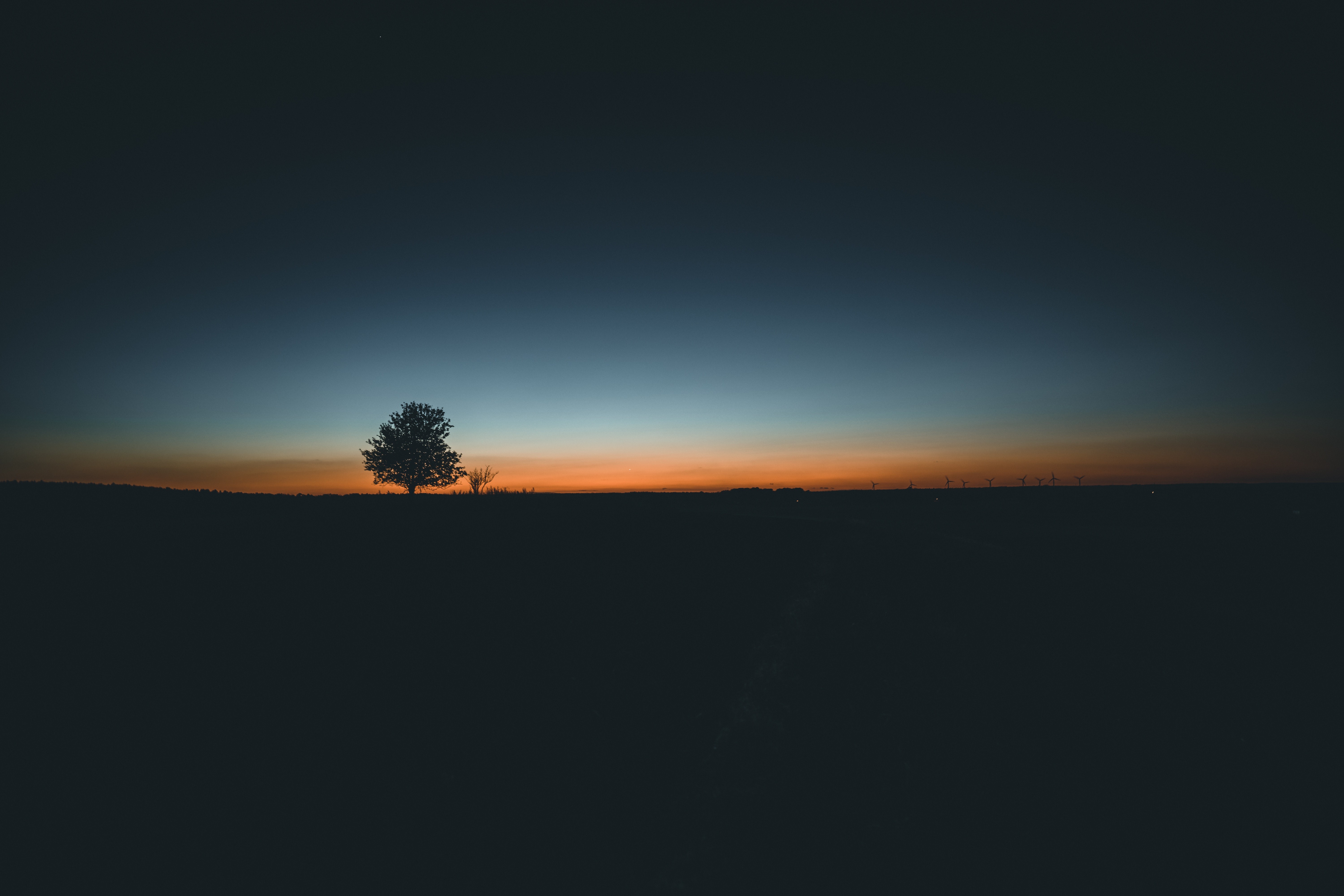 landscape, tree, nature, hd, 4k, 5k, HD Wallpaper