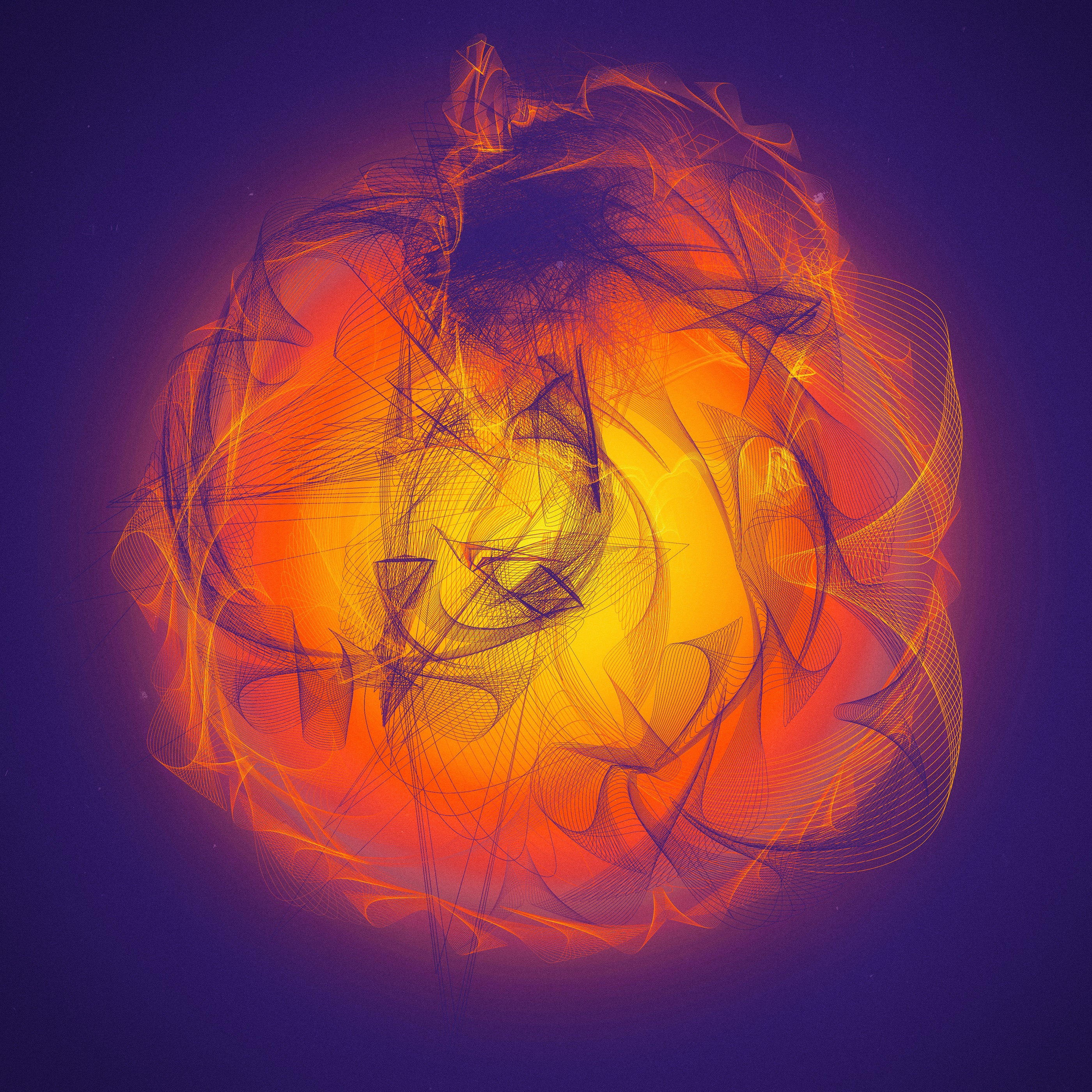 ribbons, graphics, abstract, hd, behance, HD Wallpaper