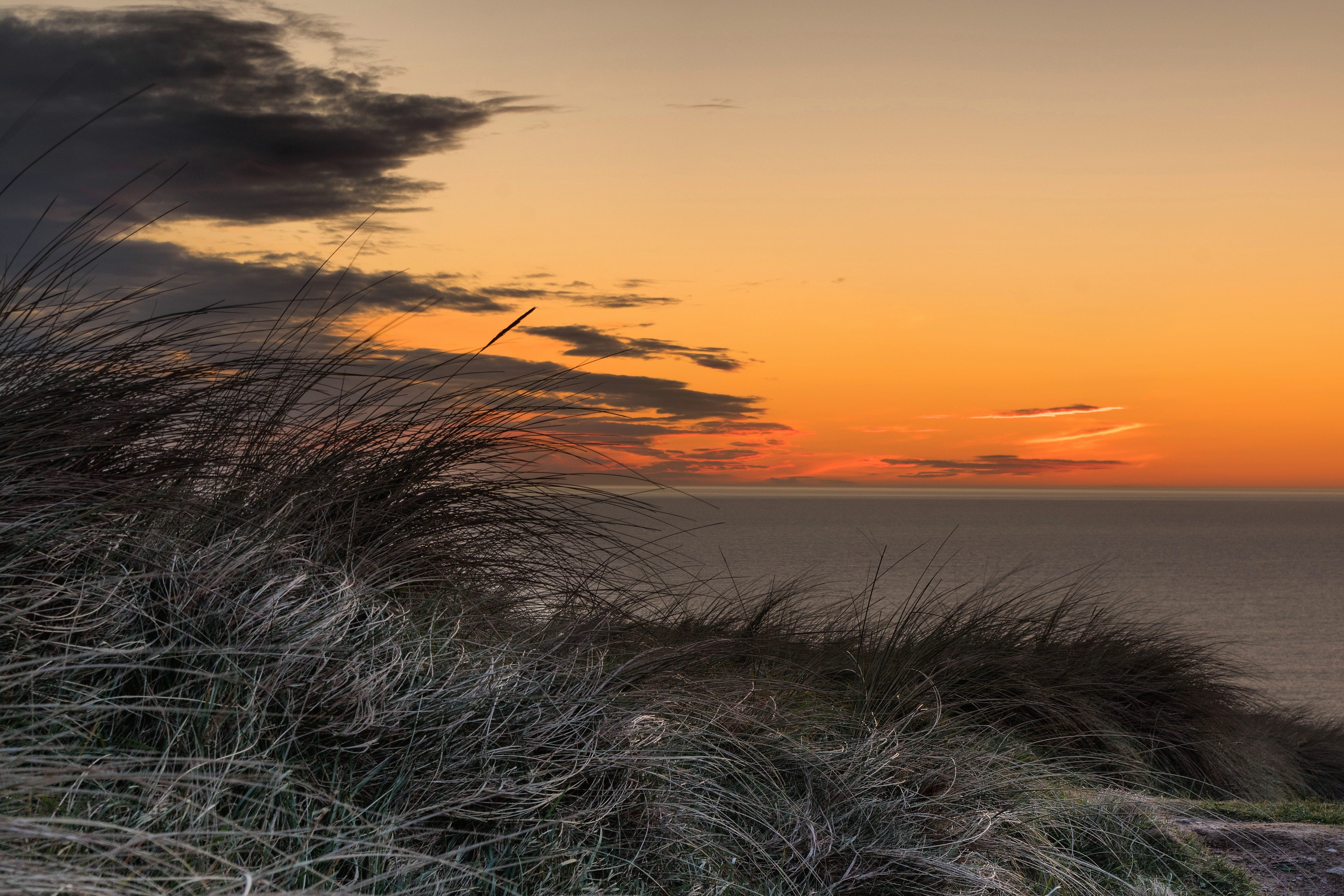 grass, sunset, nature, hd, 4k, 5k, HD Wallpaper