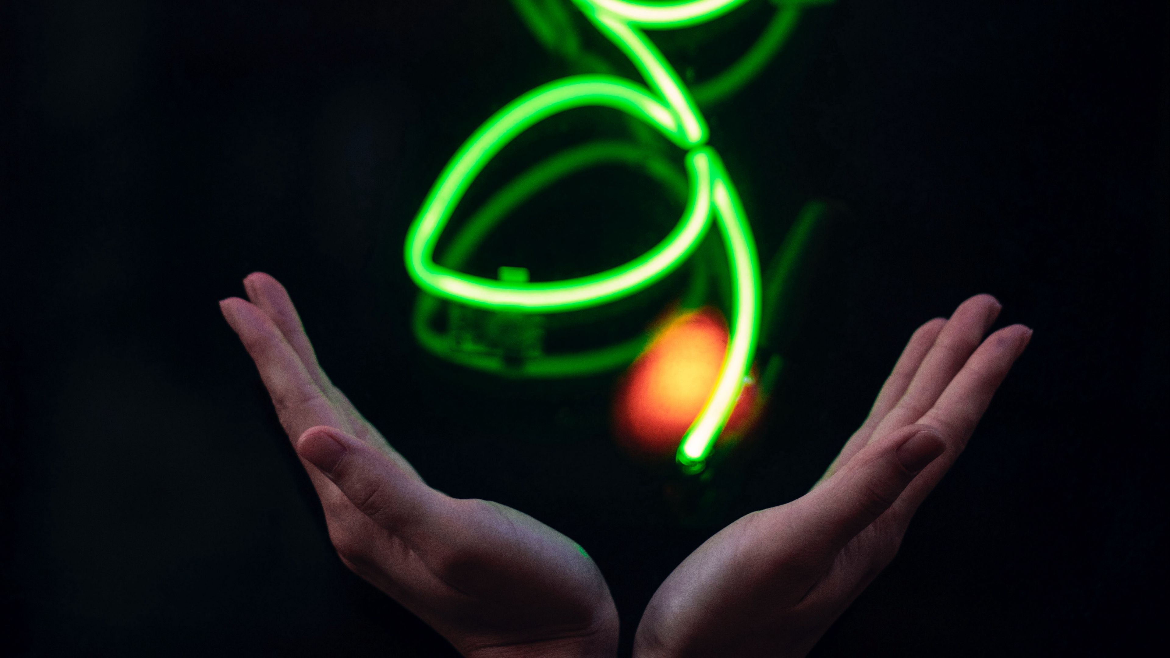 hands, neon, flower, signboard, glow, light, 4k, HD Wallpaper