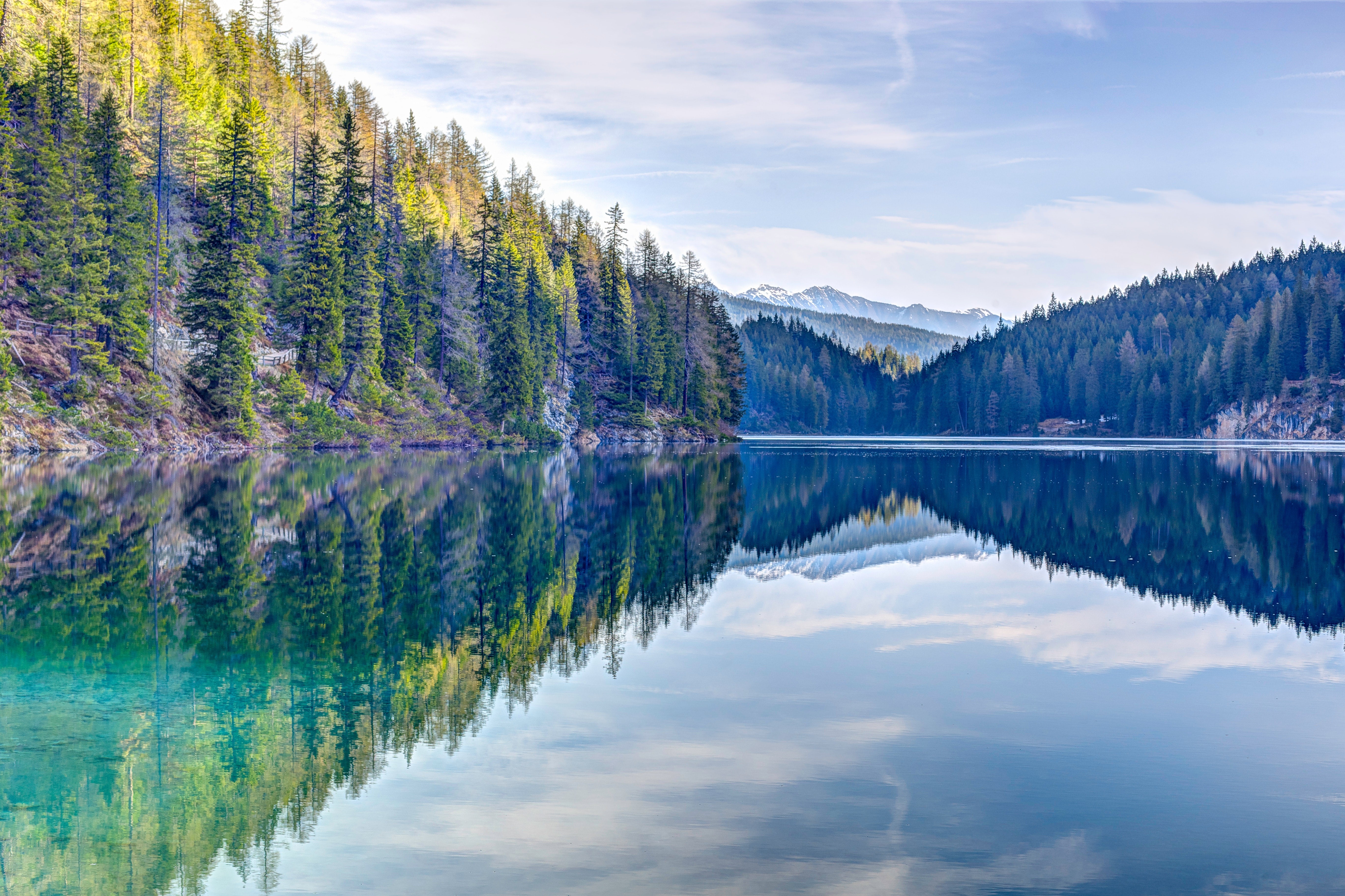 reflection, trees, nature, hd, 4k, 5k, HD Wallpaper