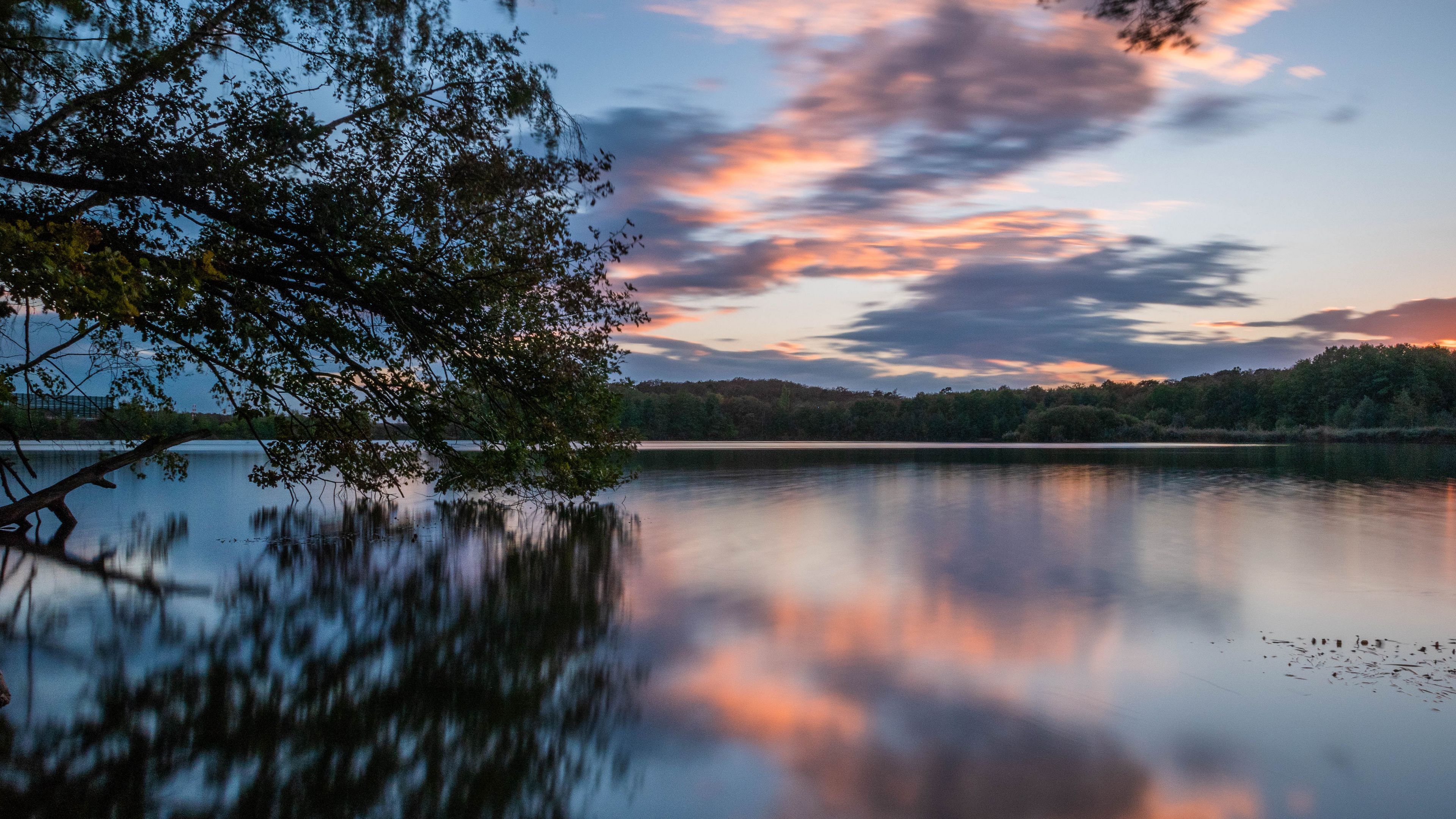 lake, trees, water, clouds, reflection, 4k, HD Wallpaper