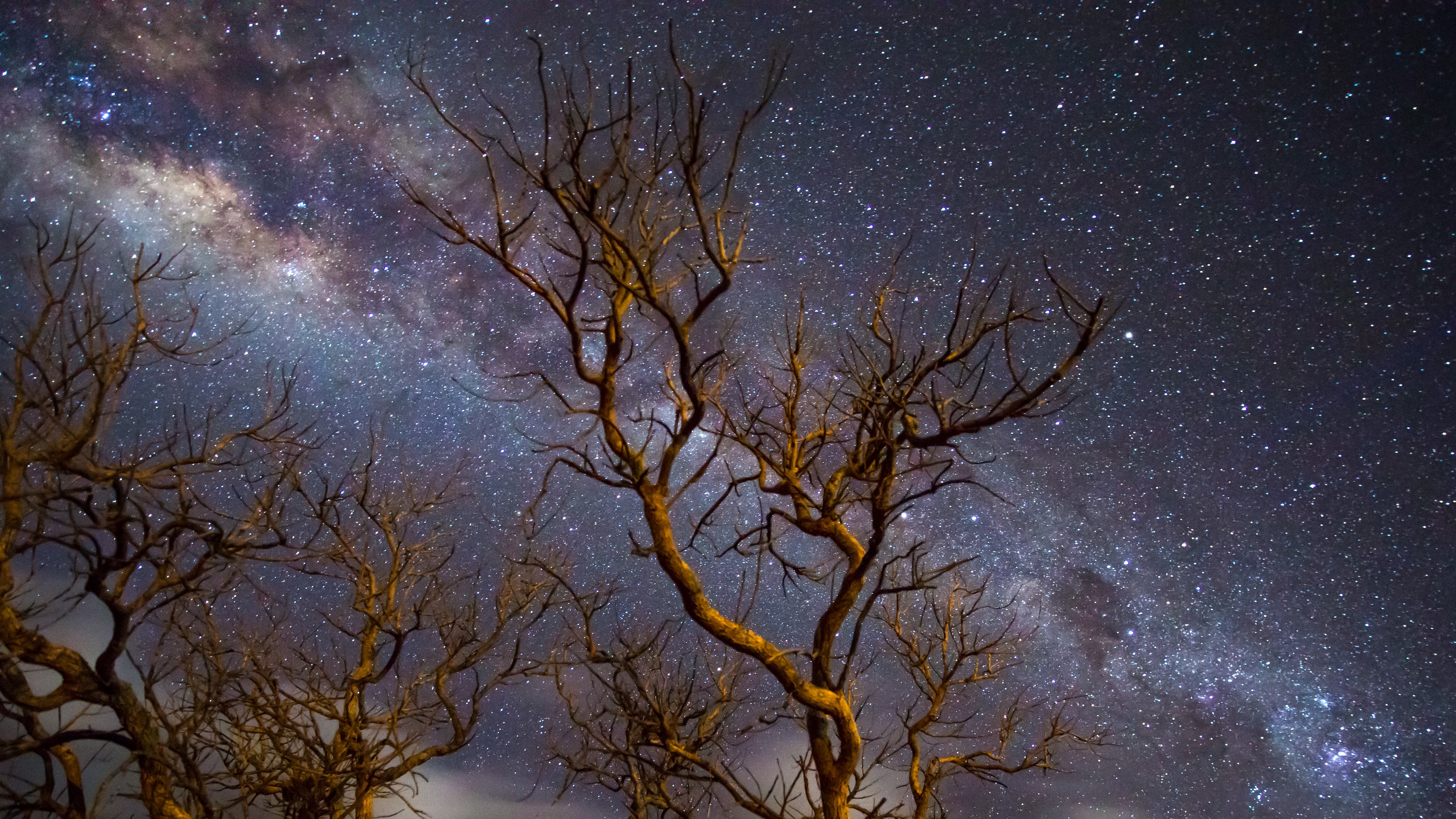 milky way, universe, photography, digital universe, scifi, hd, 4k, HD Wallpaper