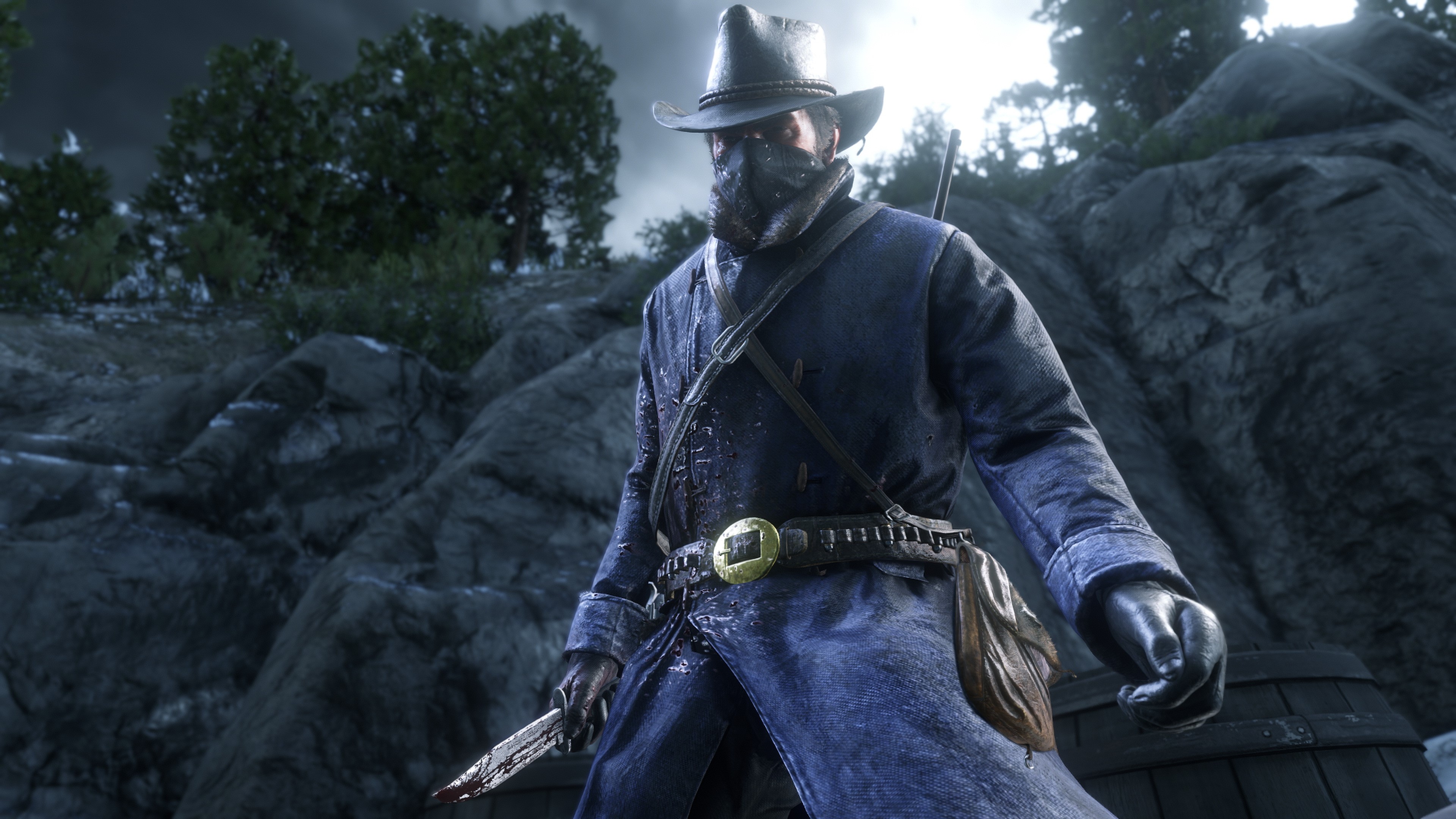 red dead redemption 2, 2018 games, games, hd, 4k, ps games, HD Wallpaper