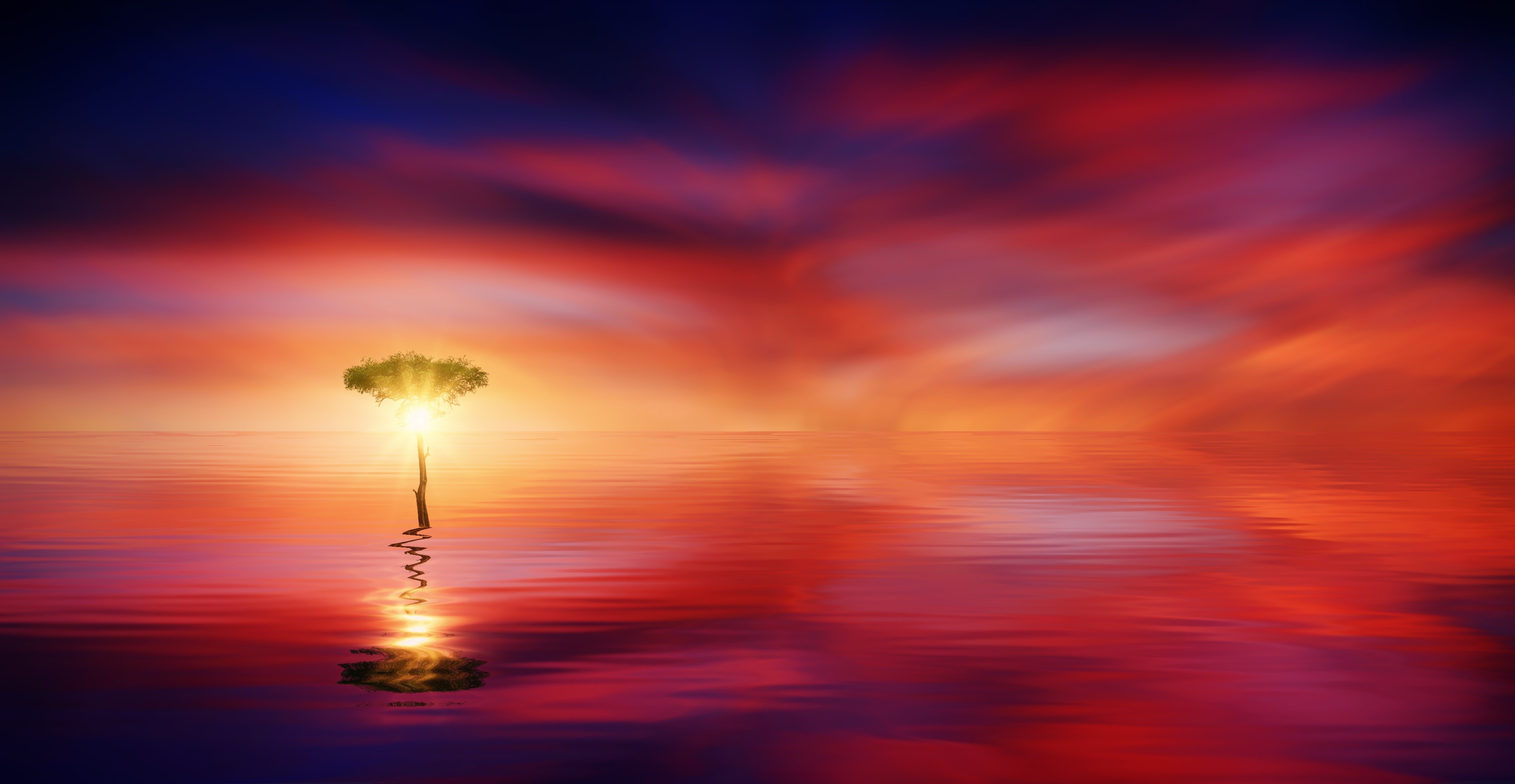 sunset, ocean, tree, sun, nature, hd, 4k, HD Wallpaper