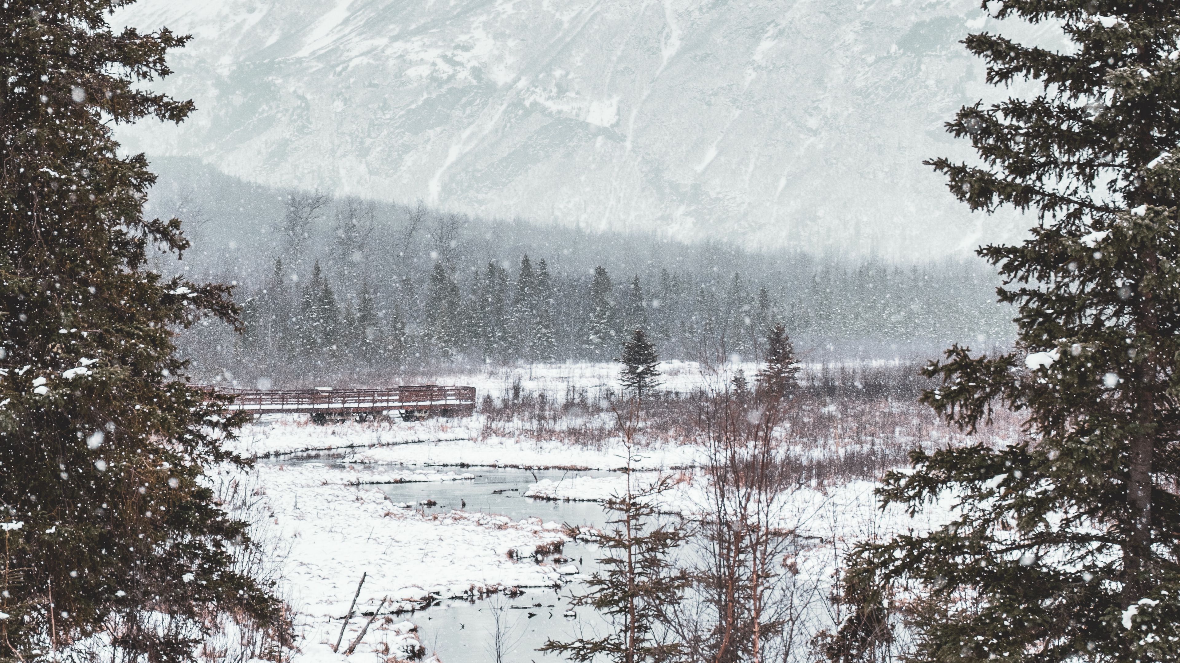 river, mountains, forest, snow, winter, 4k, HD Wallpaper