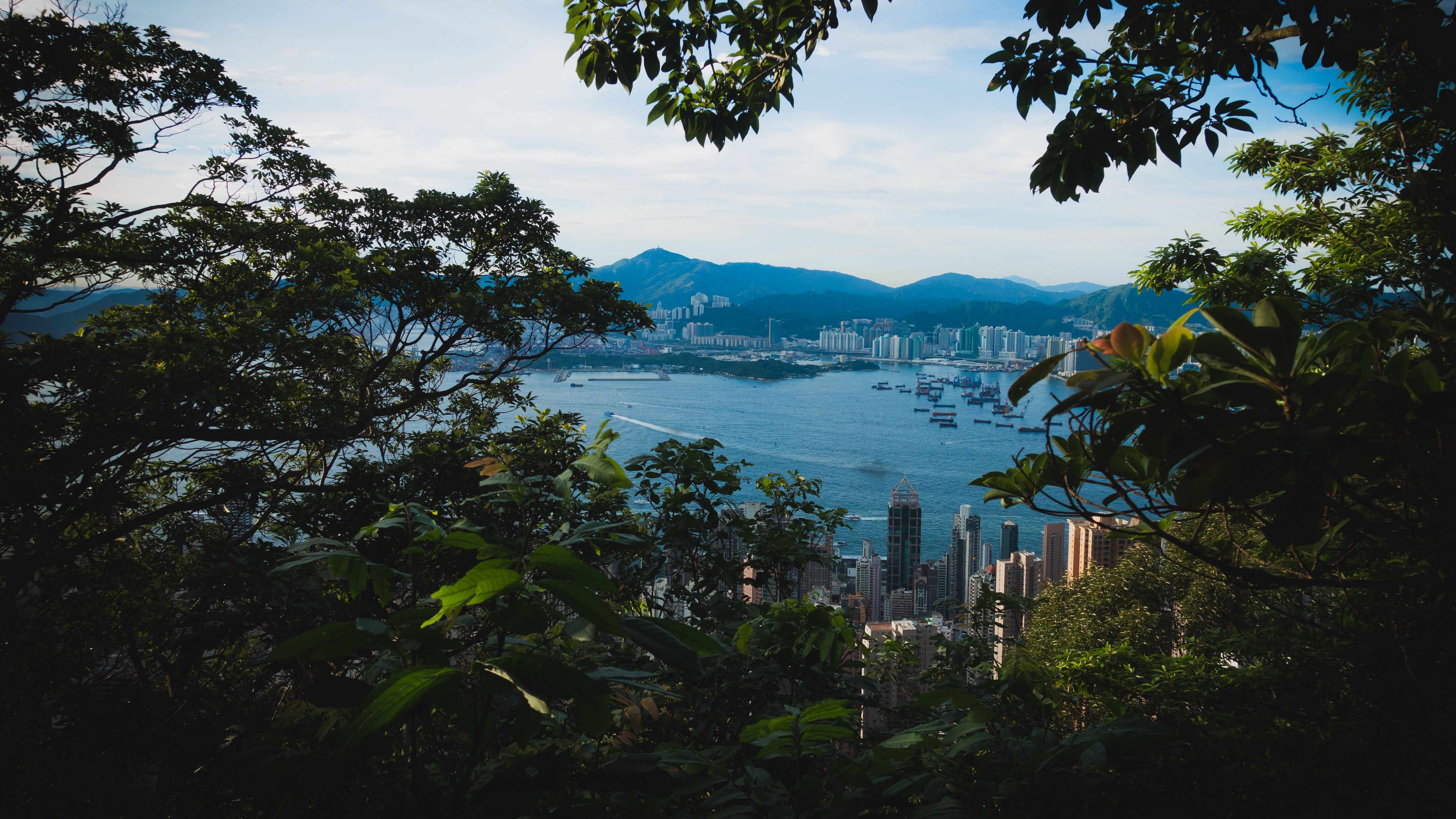 city, buildings, mountains, water, branches, 4k, HD Wallpaper