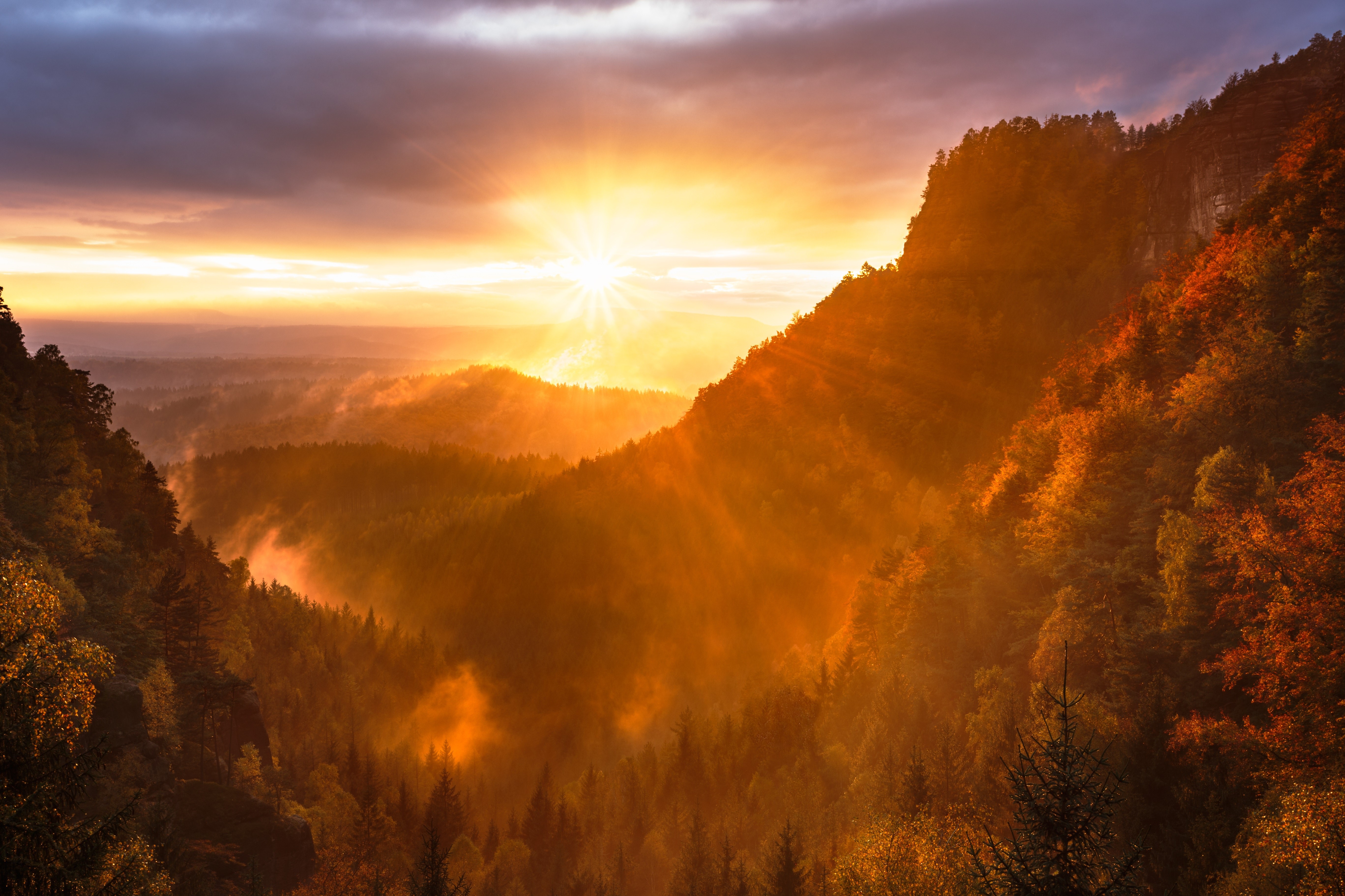 sunrise, sunset, forest, nature, hd, 4k, 5k, HD Wallpaper
