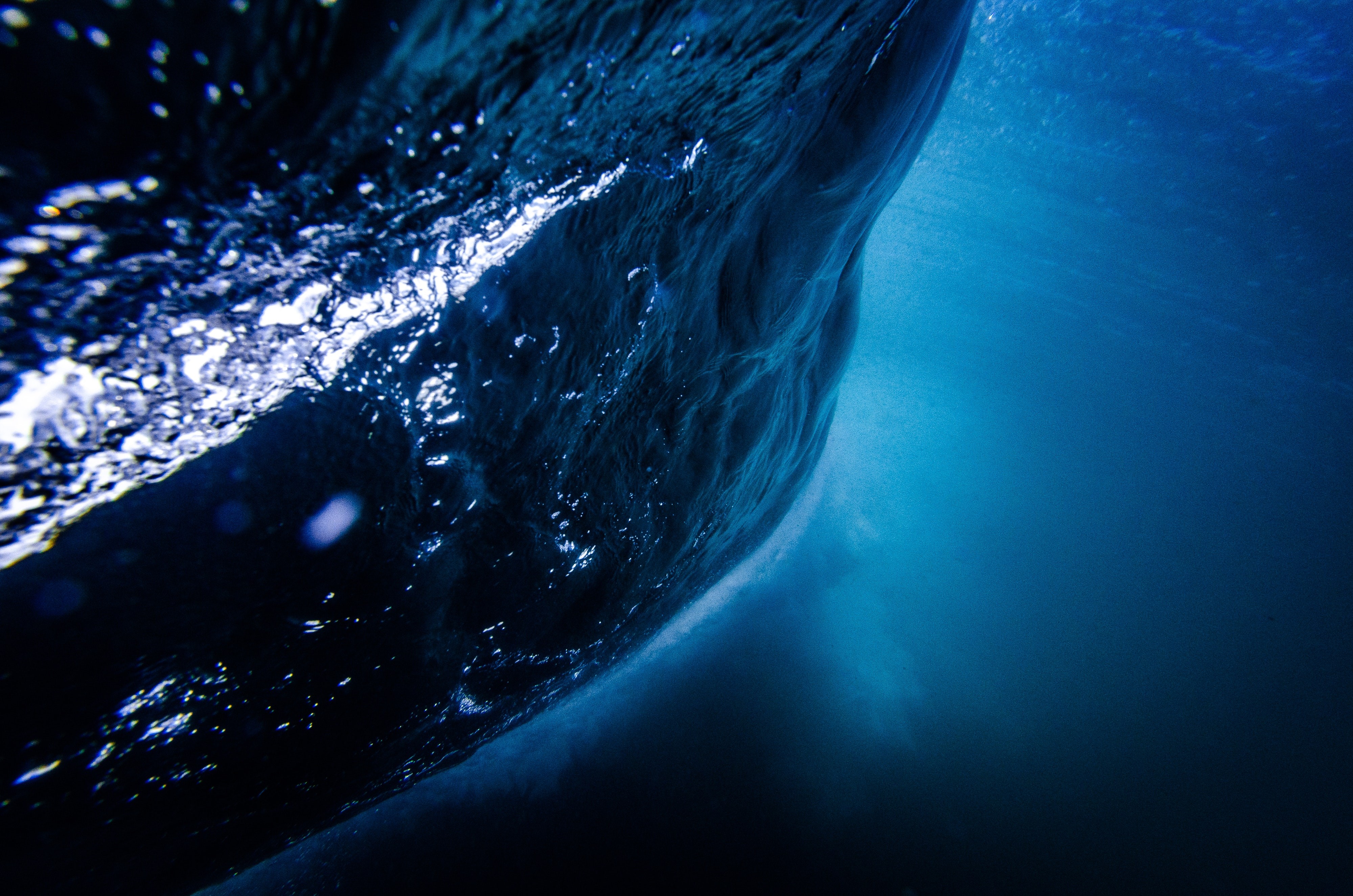 ocean, underwater, sea, nature, hd, 4k, HD Wallpaper