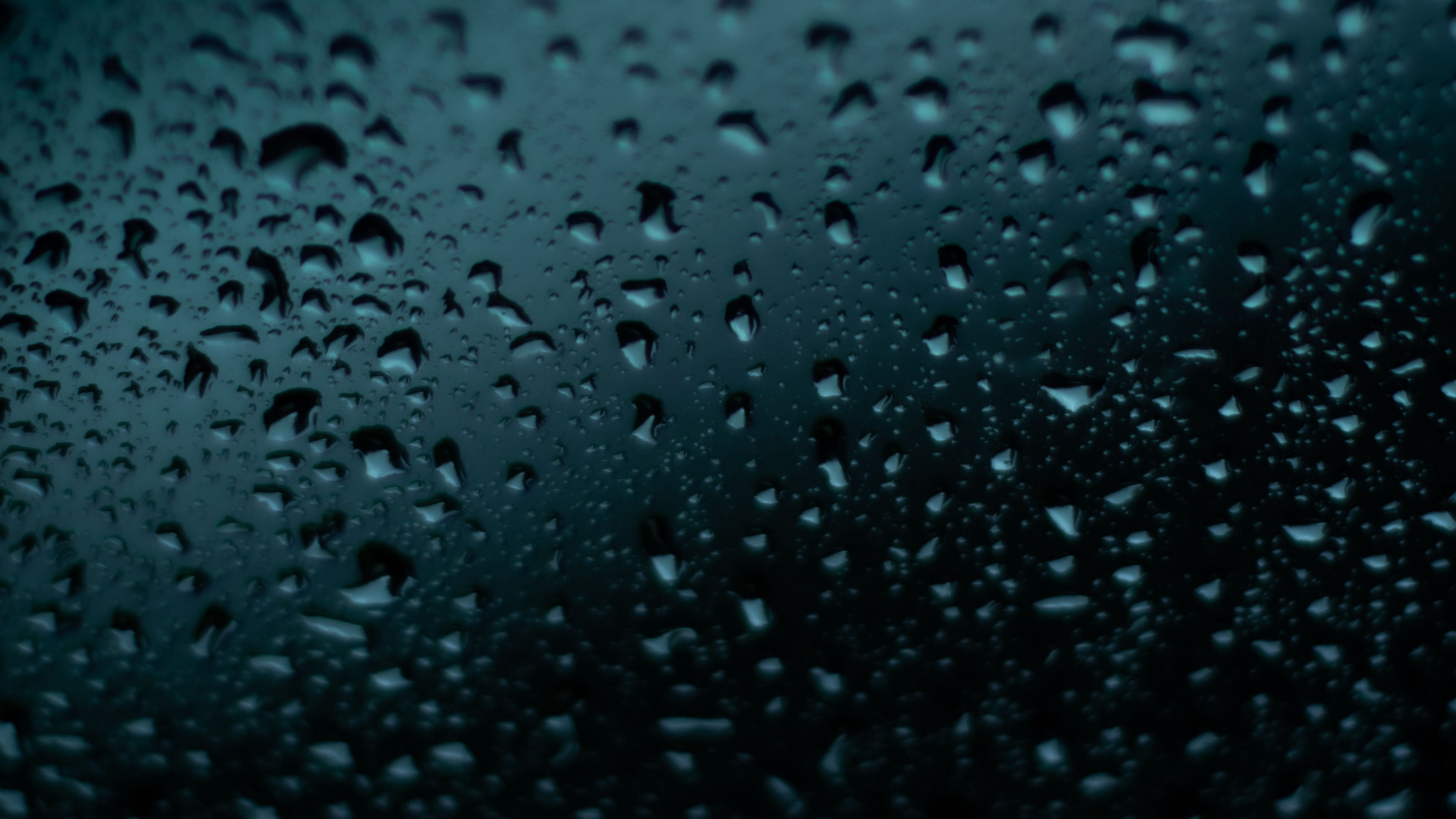 drops, wet, surface, dark, macro, 4k, HD Wallpaper