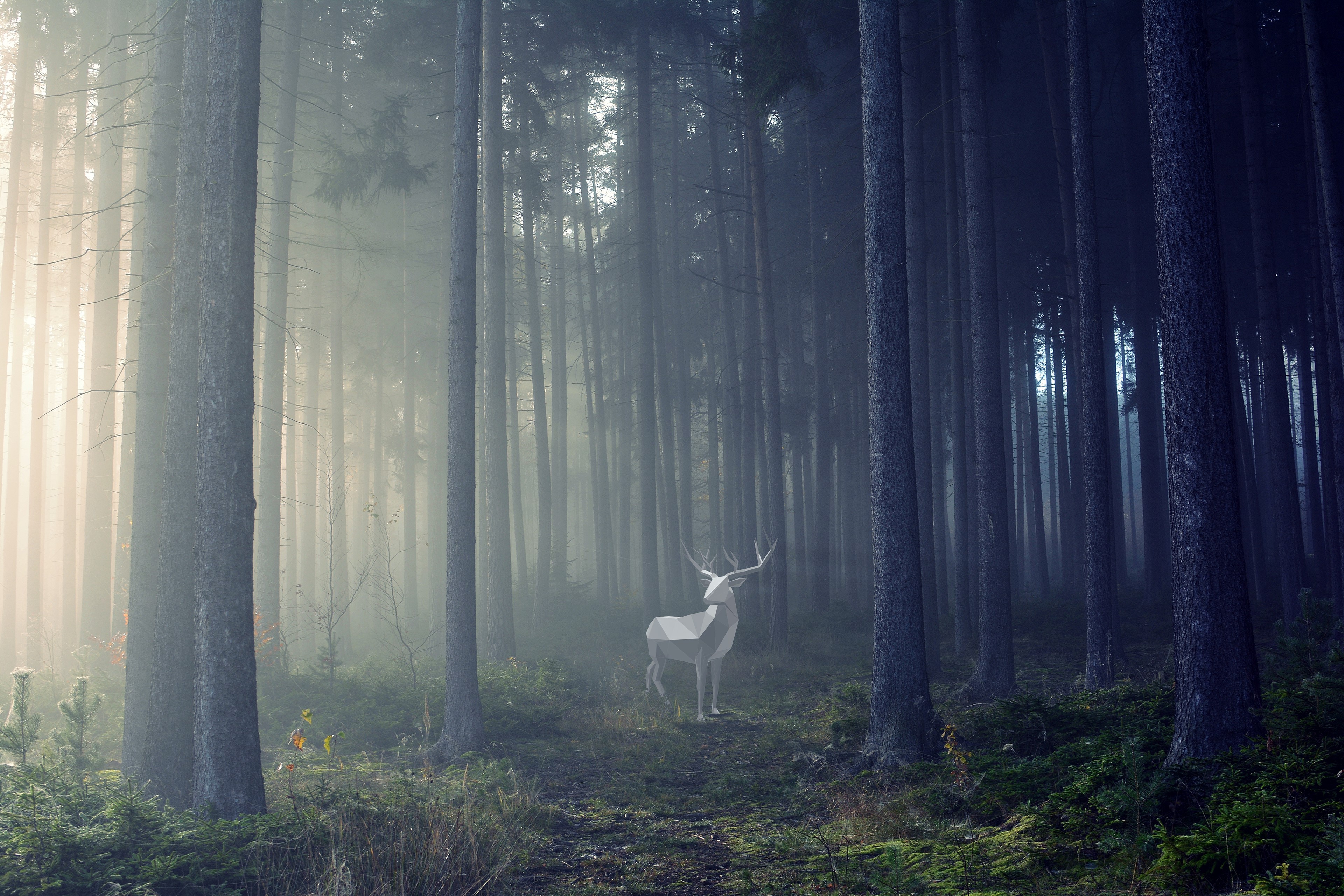 deer, artist, artwork, digital art, hd, behance, 4k, HD Wallpaper