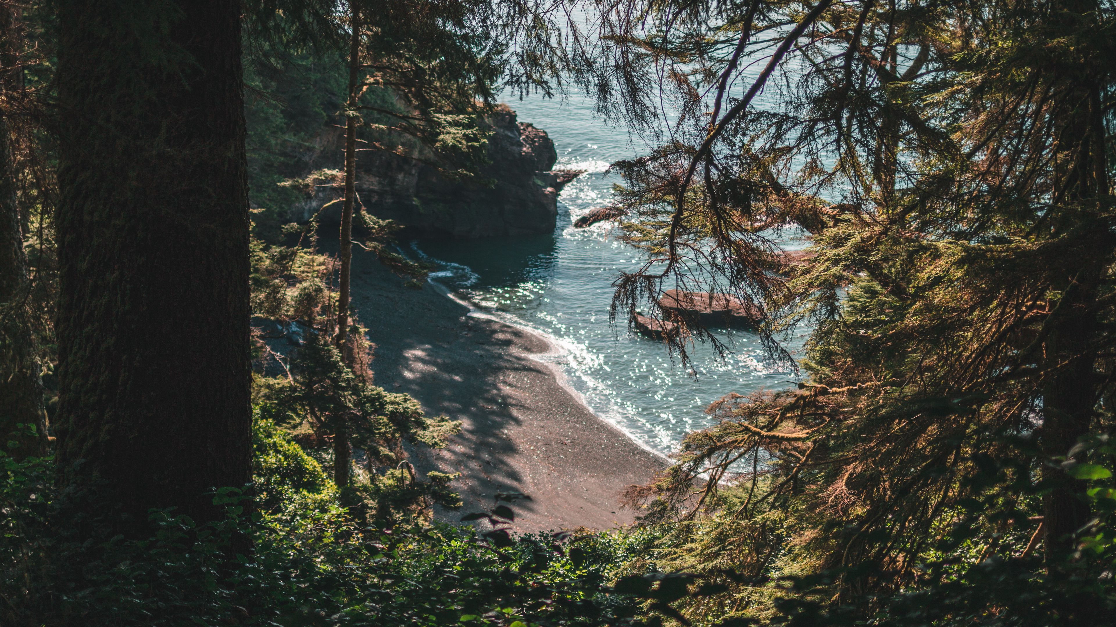 beach, coast, trees, rocks, landscape, 4k, HD Wallpaper