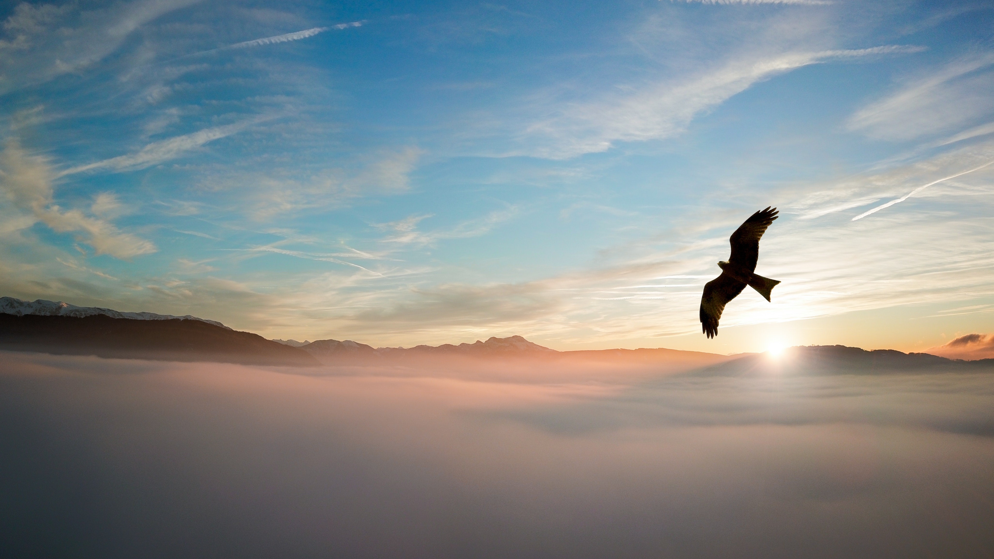 birds, clouds, nature, hd, 4k, HD Wallpaper