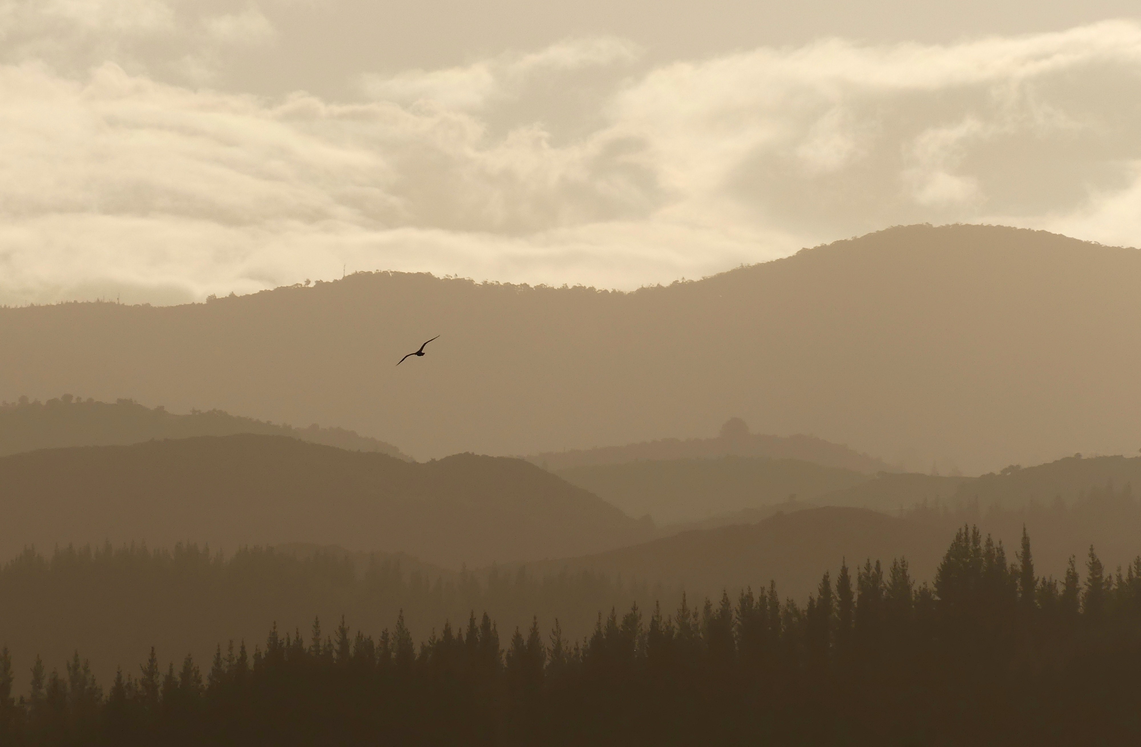 national park, nature, fog, hd, 4k, HD Wallpaper