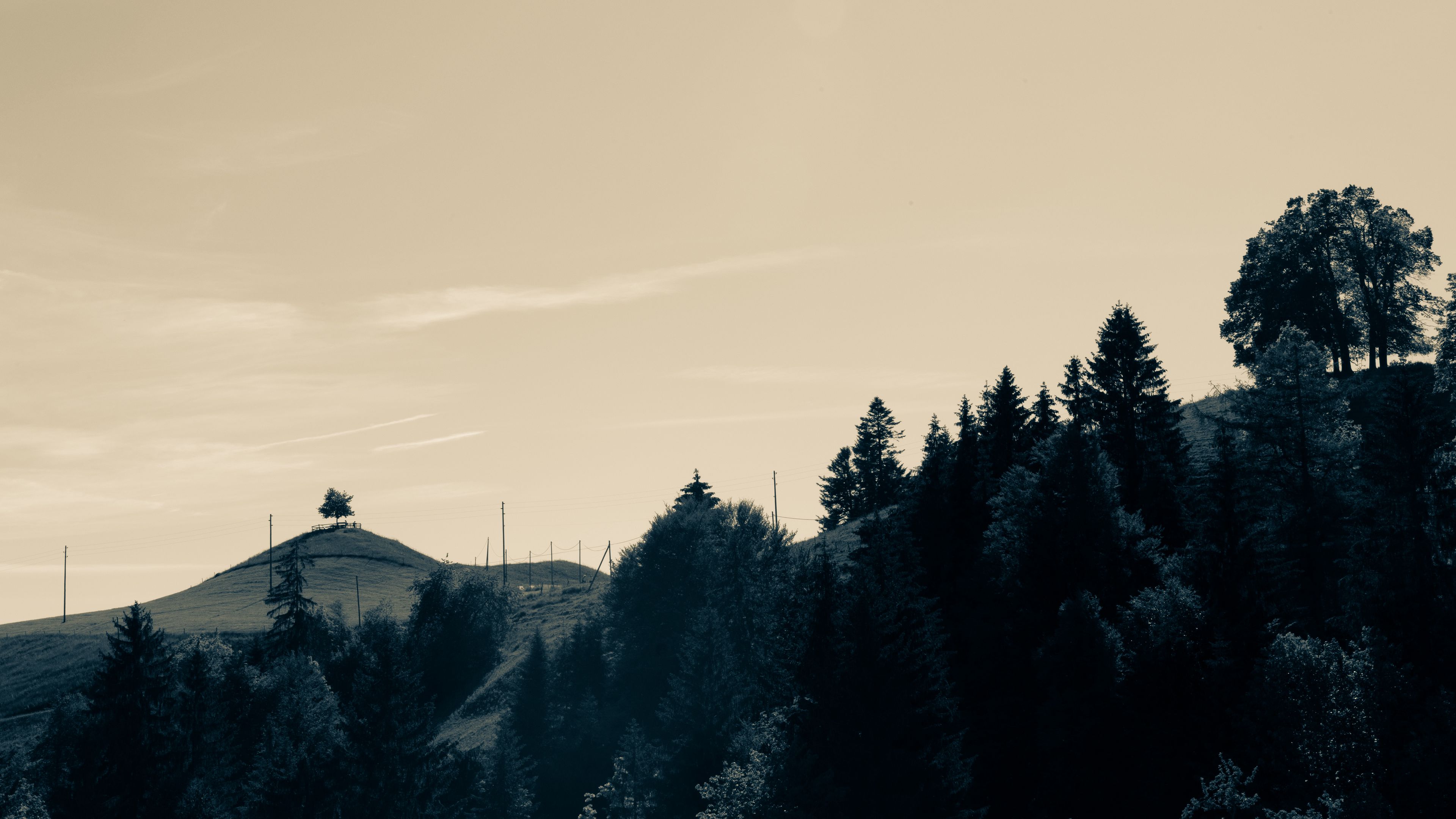 hills, trees, landscape, landform, hilly, 4k, HD Wallpaper