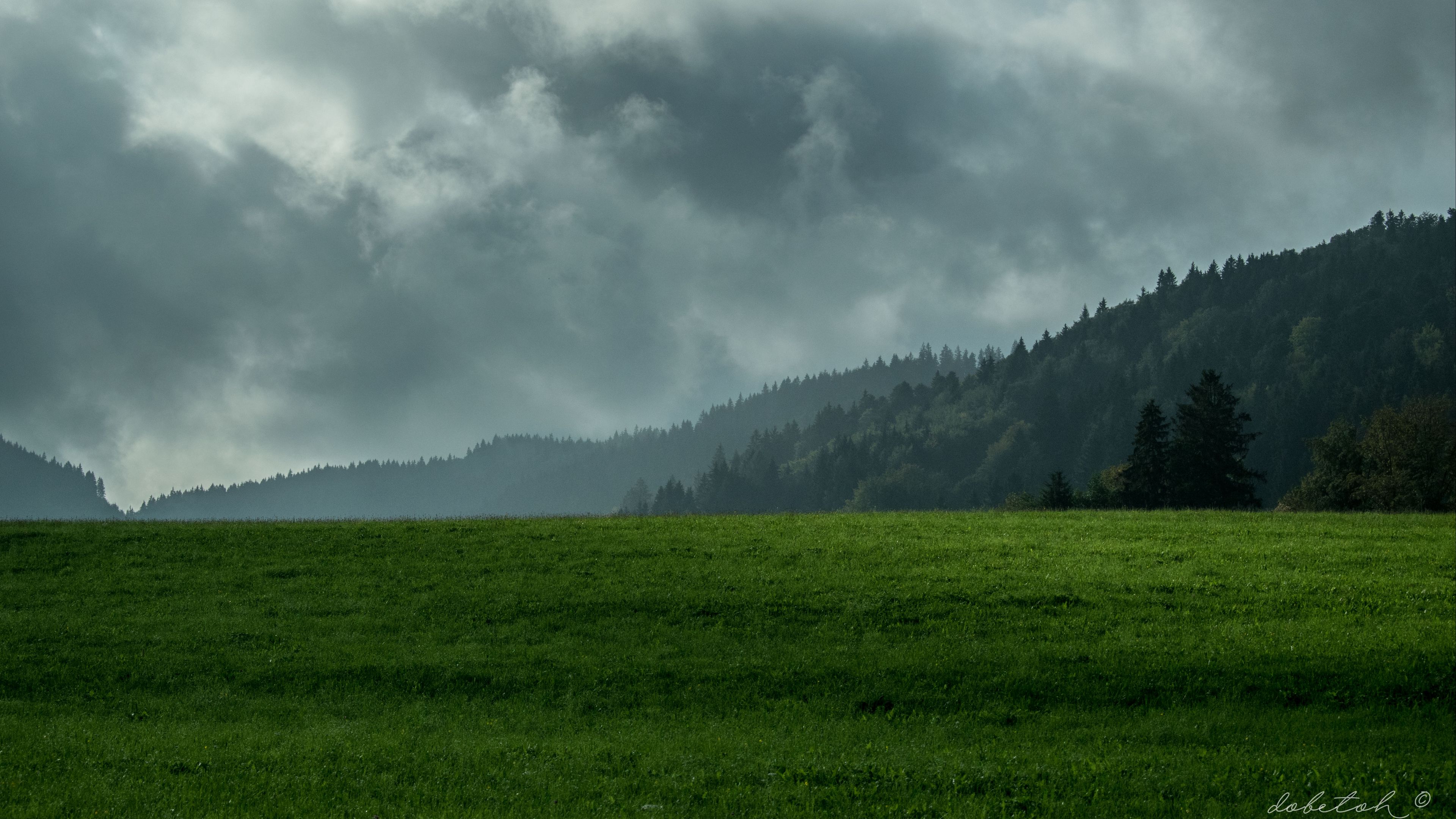 lawn, mountains, forest, fog, clouds, 4k, HD Wallpaper