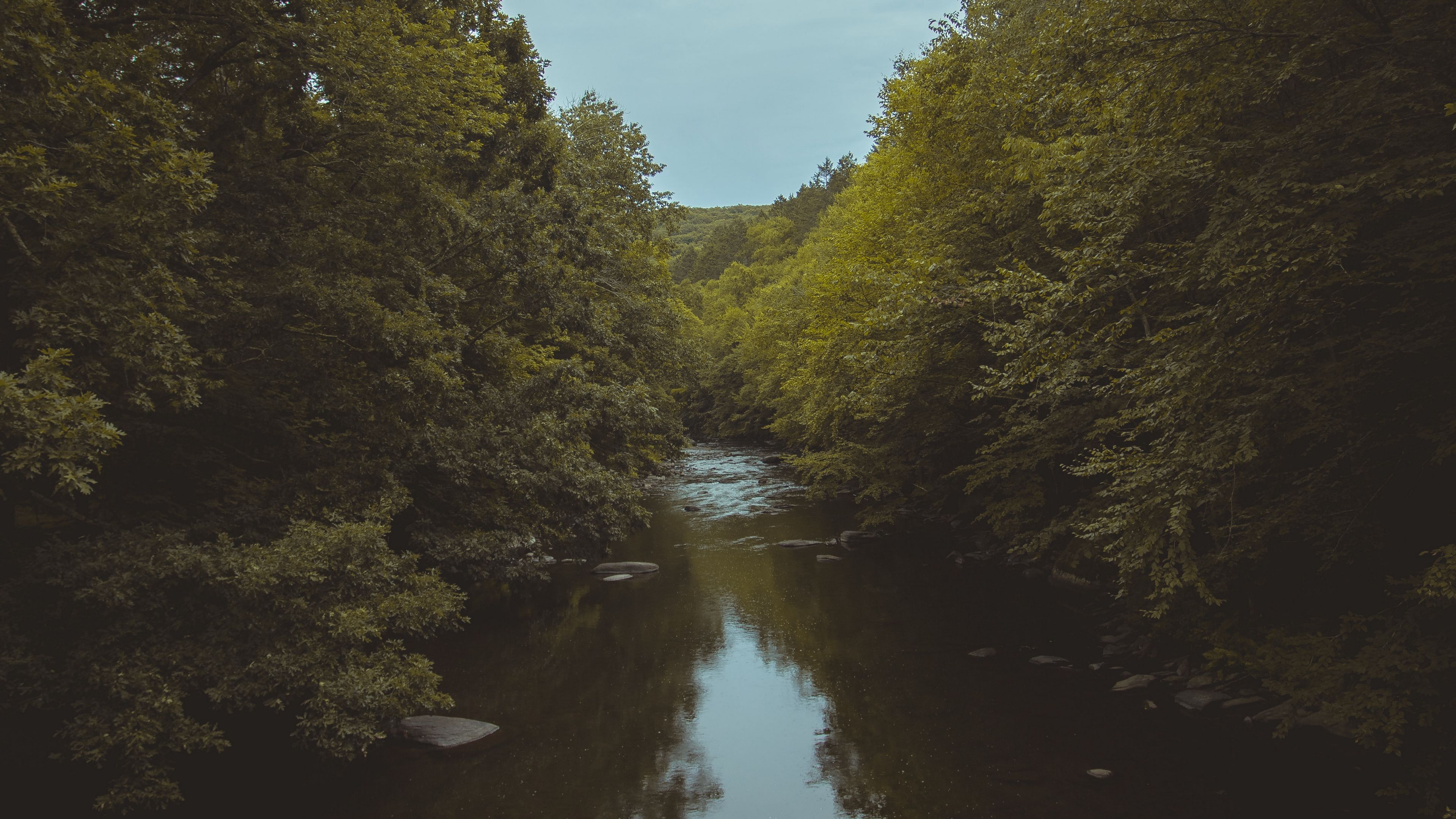 river, trees, water, nature, landscape, 4k, HD Wallpaper